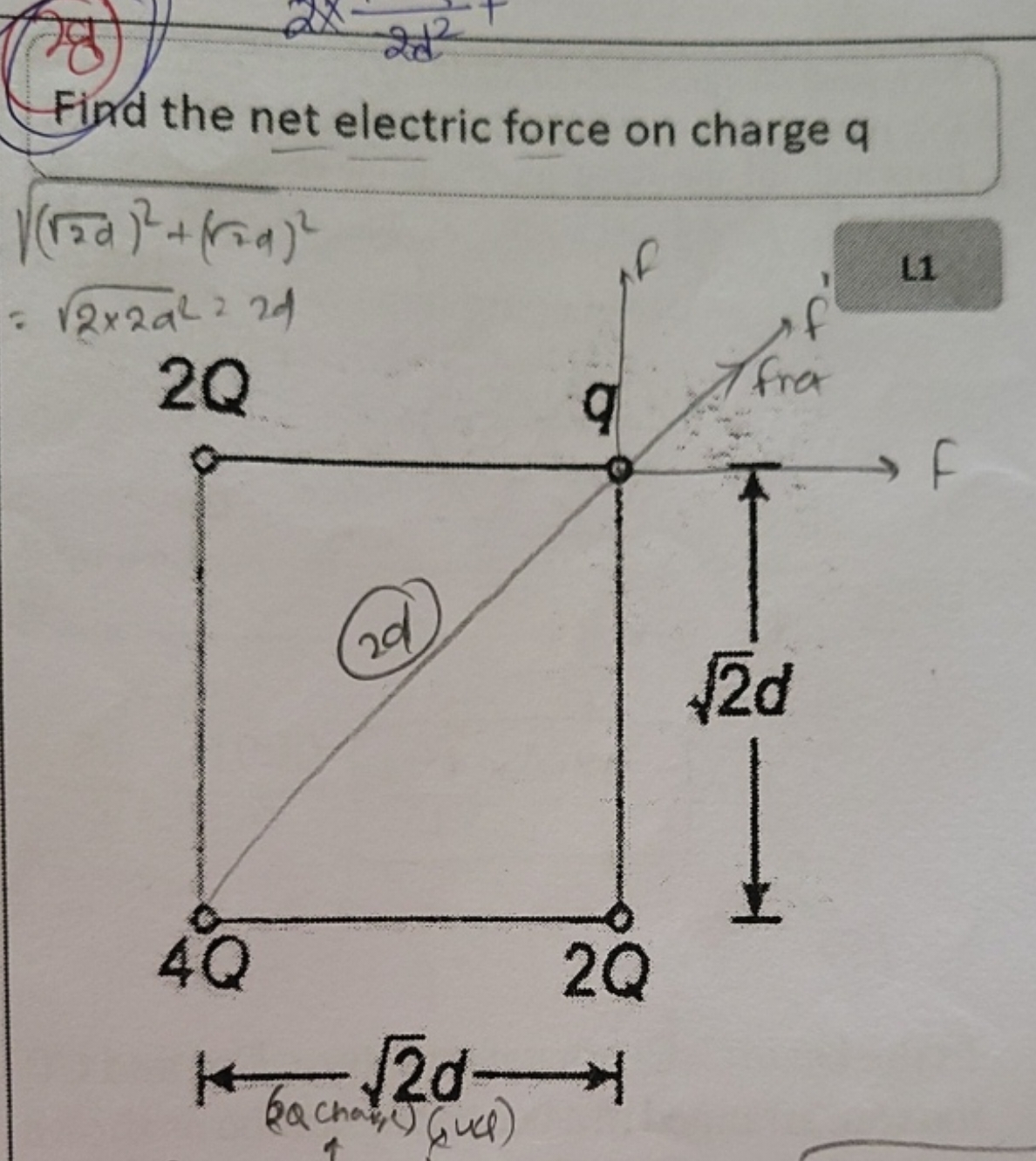 Find the net electric force on charge q