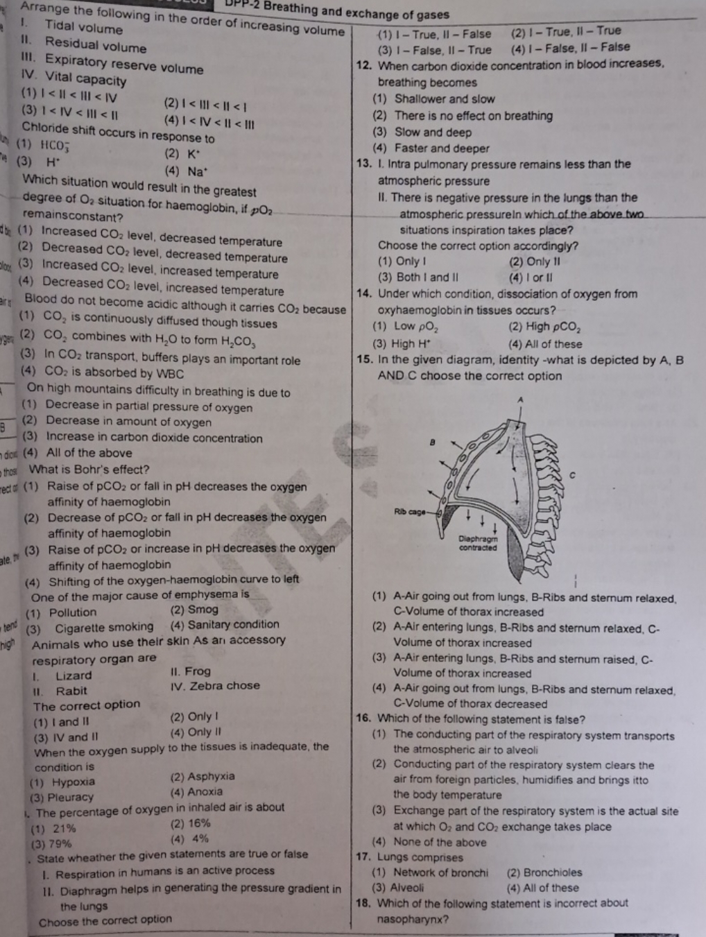 I. Tidal volume
II. Residual volume
III. Expiratory reserve volume
IV.