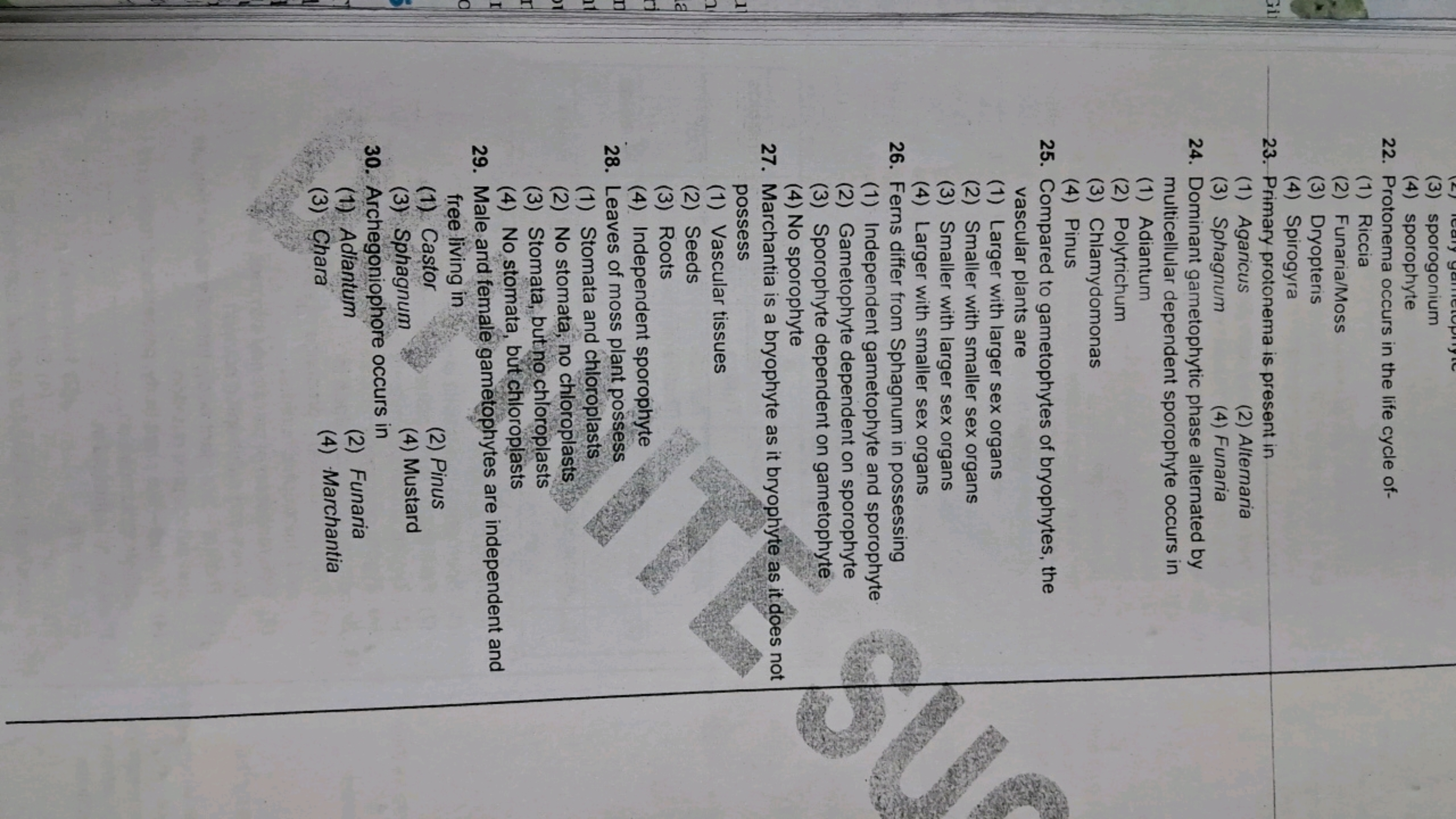 Gi
(3) sporogonium
(4) sporophyte
22. Protonema occurs in the life cyc