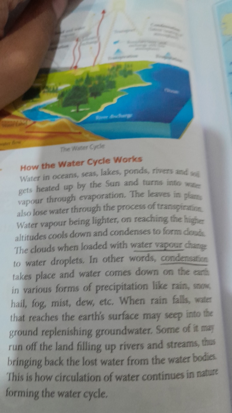 The Water Cycle
How the Water Cycle Works
Water in oceans, seas, lakes