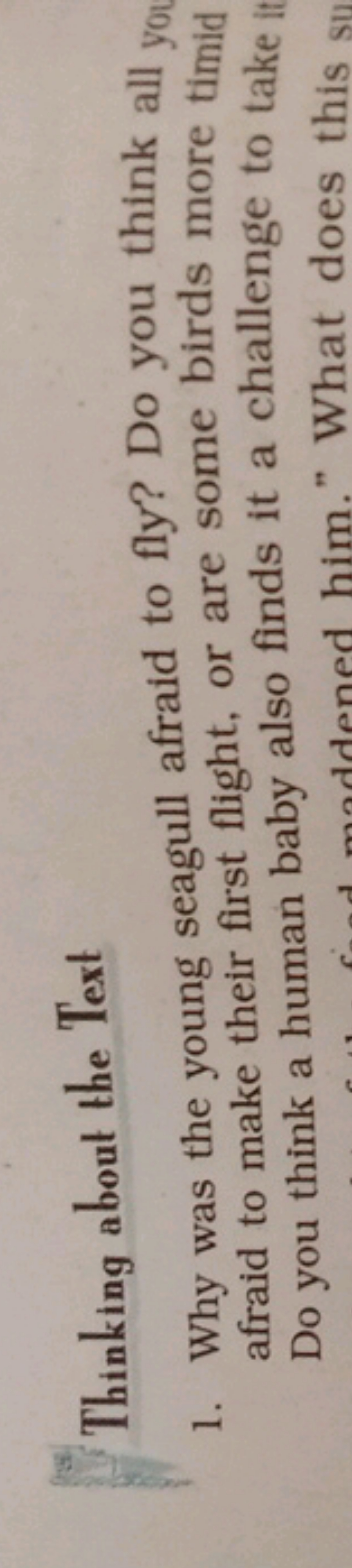 Thinking about the Text
1. Why was the young seagull afraid to fly? Do