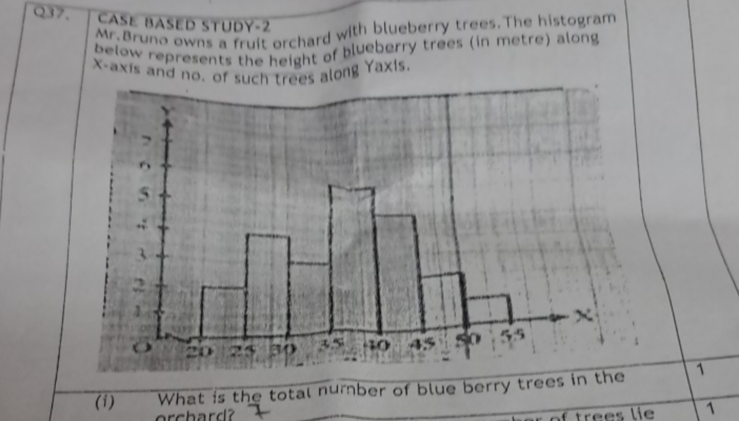 Q37. CASE BASED STUDY-2
Mr. Bruno owns a fruit orchard with blueberry 