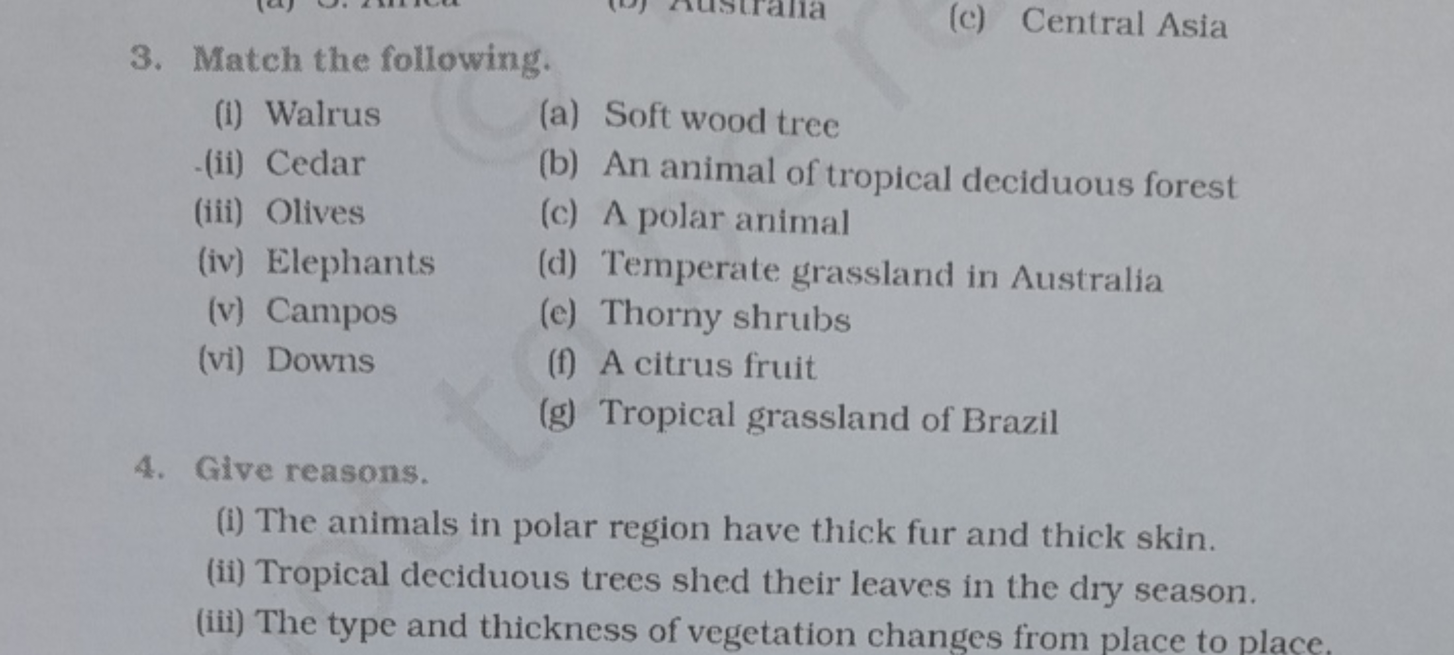 
(c) Central Asia3. Match the following.
(i) Walrus
(a) Soft wood tree