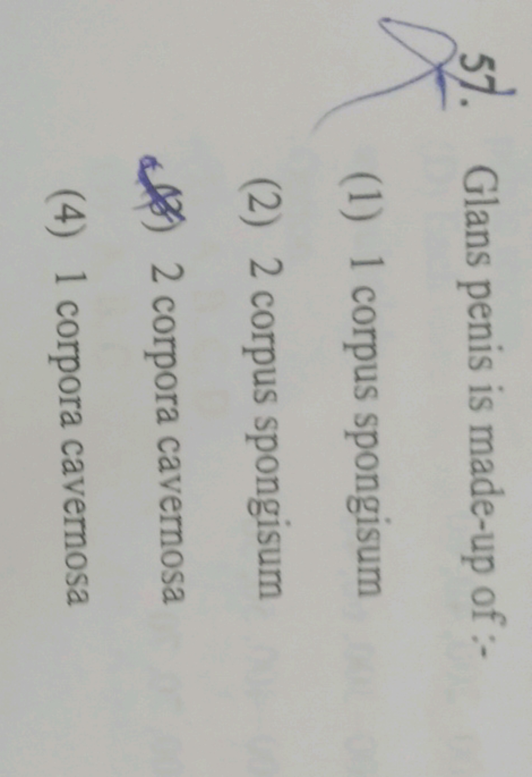 57. Glans penis is made-up of :-
(1) 1 corpus spongisum
(2) 2 corpus s