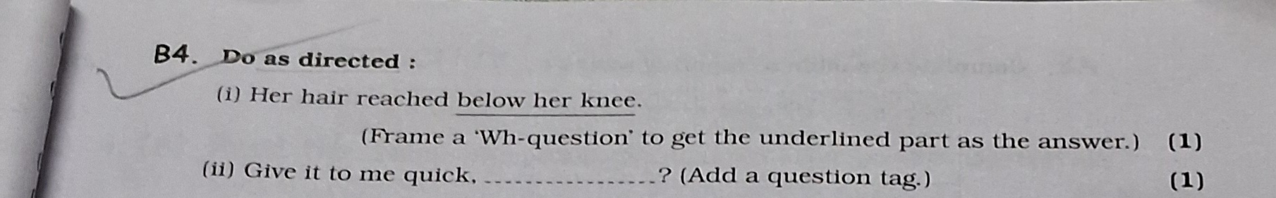 B4. Do as directed :
(i) Her hair reached below her knee.
(Frame a 'Wh