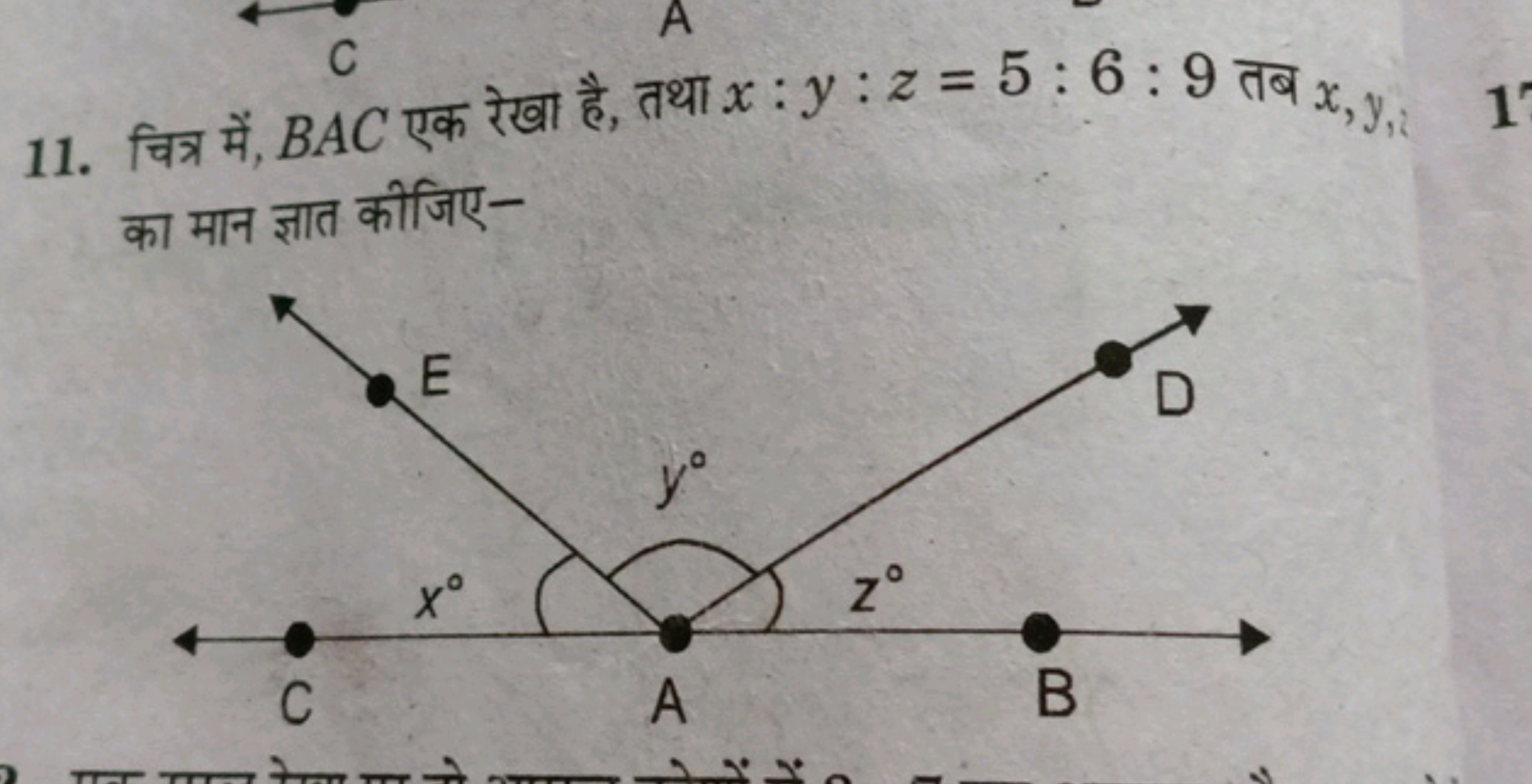 11. चित्र में, BAC एक रेखा है, तथा x:y:z=5:6:9 तब x,y, का मान ज्ञात की