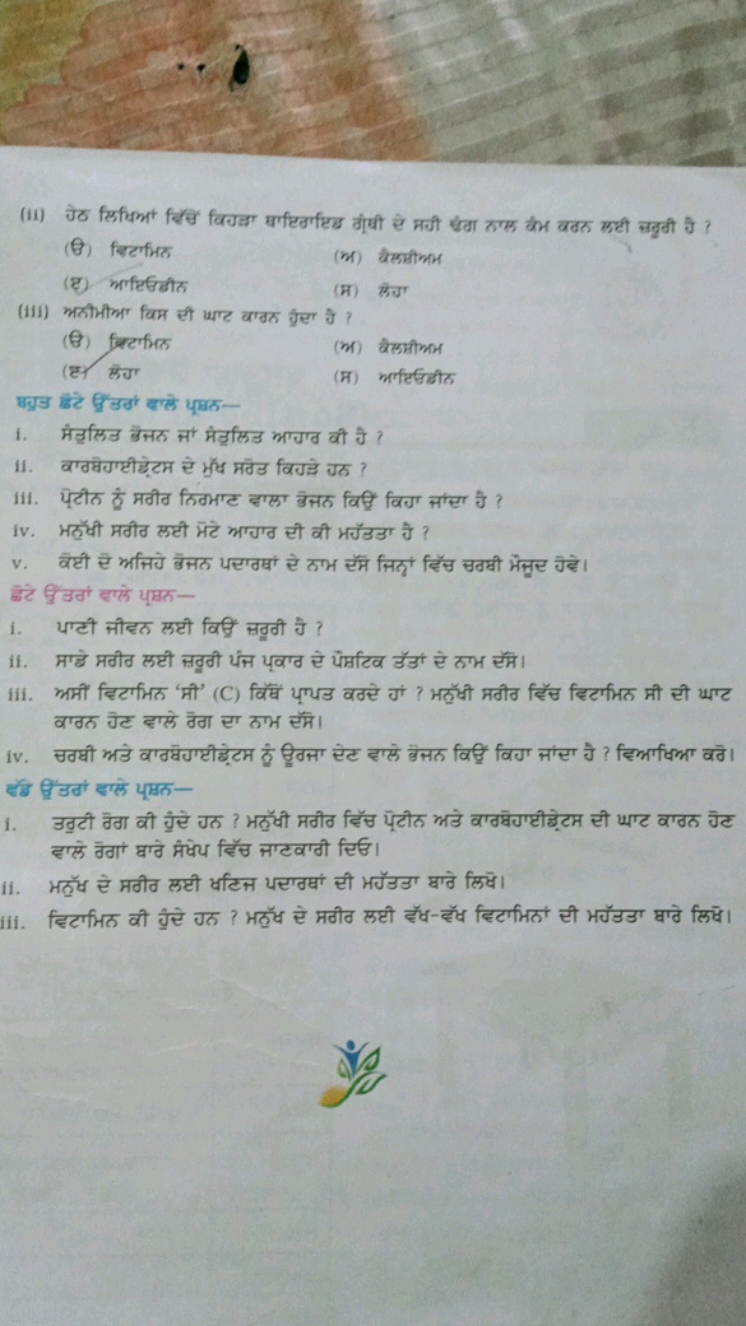 
(日) बि्टगिल
(अ) वेलपीमभ
(घ) भगििछिंत
(iii) भरीमीभा विम ही याग वग्वल क