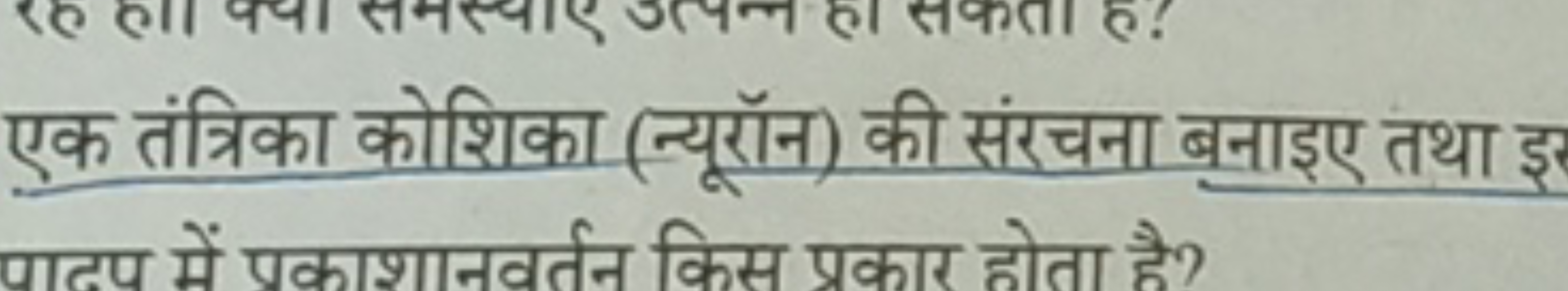 एक तंत्रिका कोशिका (न्यूरॉन) की संरचना बनाइए तथा इ पादप में पकाशानवर्त