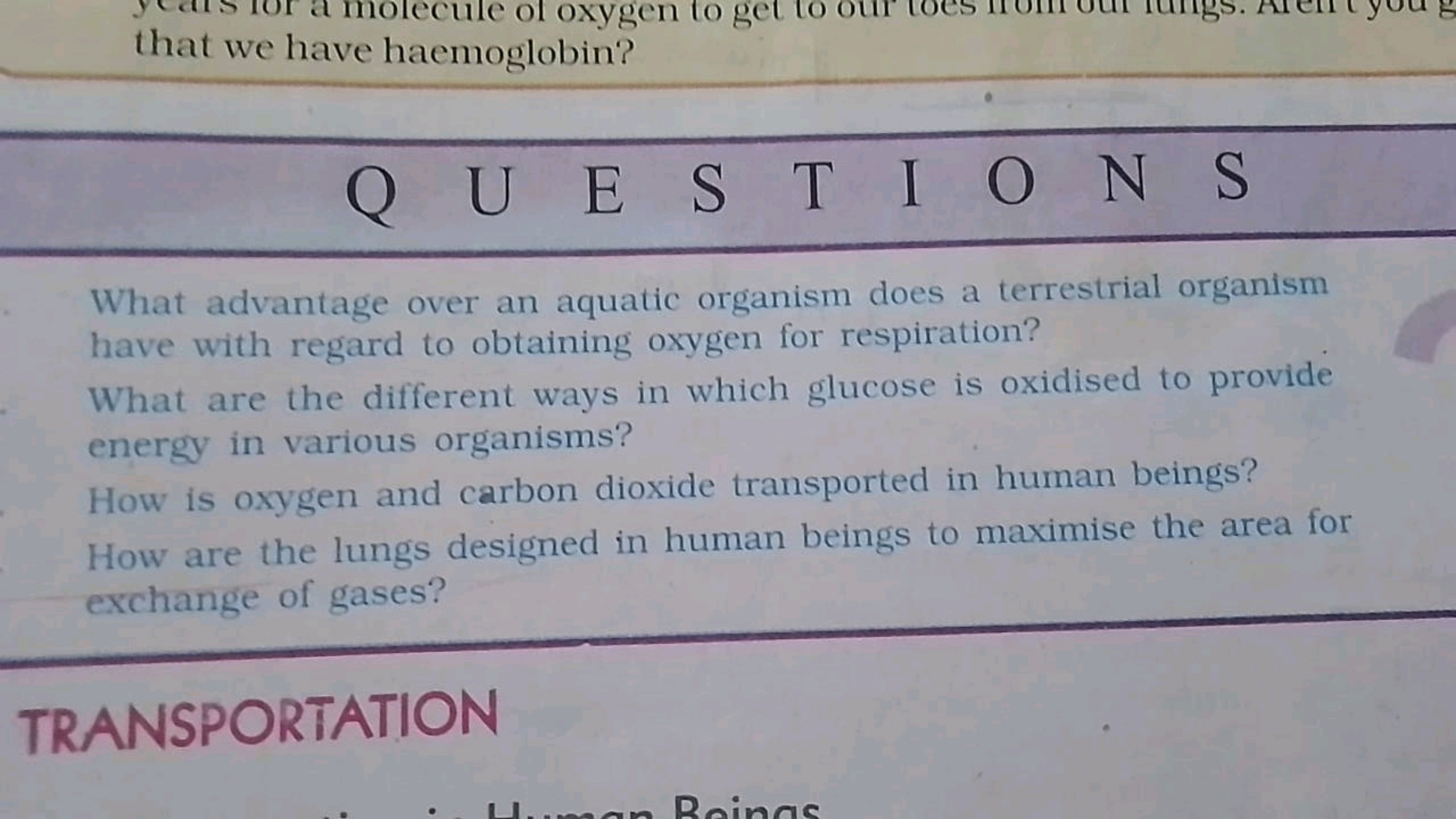 that we have haemoglobin?

Q
U
E
S
T
I
O
N
S

What advantage over an a