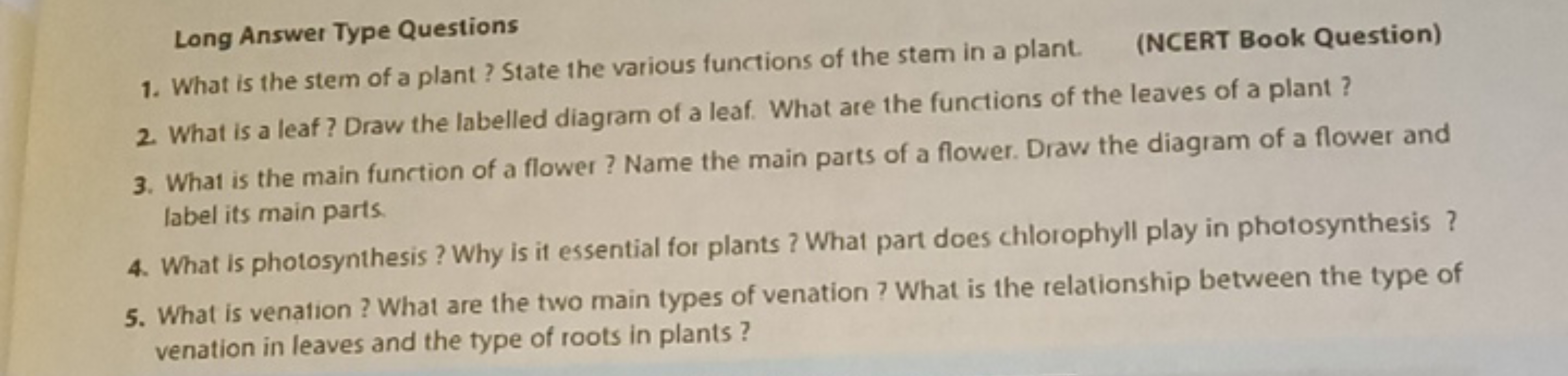 Long Answer Type Questions
1. What is the stem of a plant? State the v