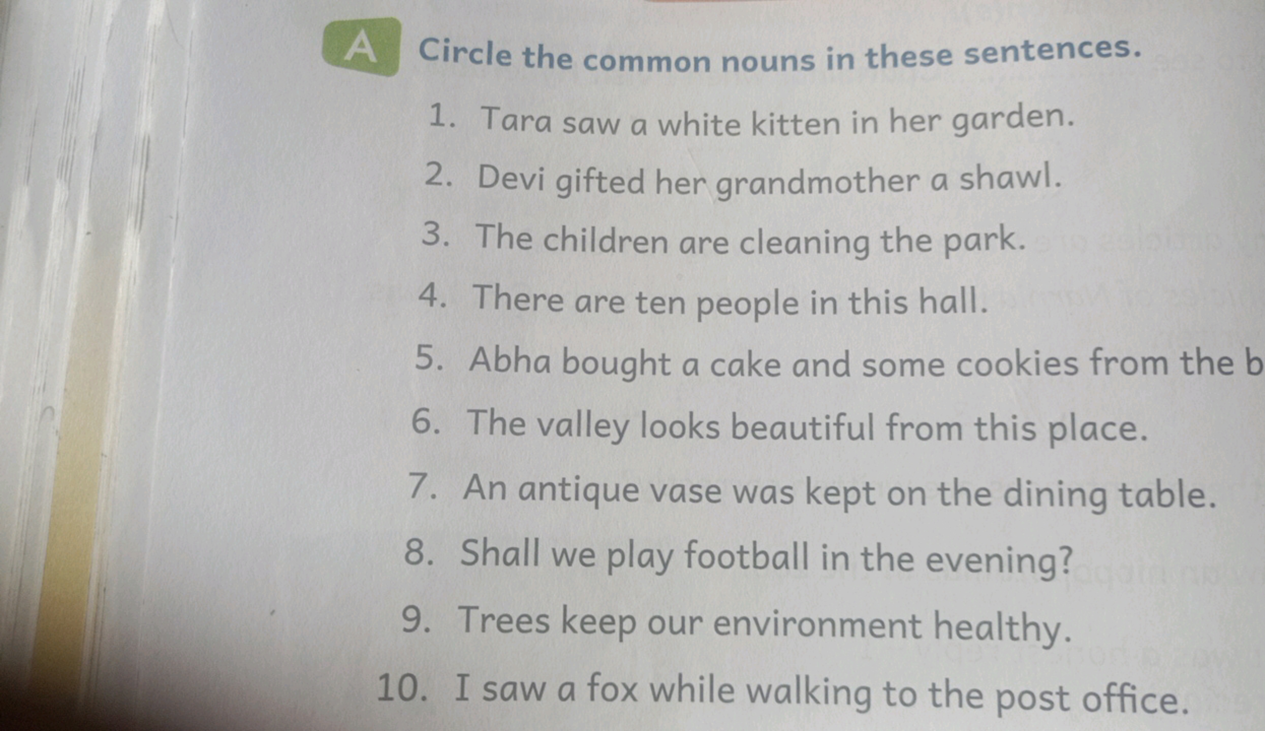 A Circle the common nouns in these sentences.
1. Tara saw a white kitt