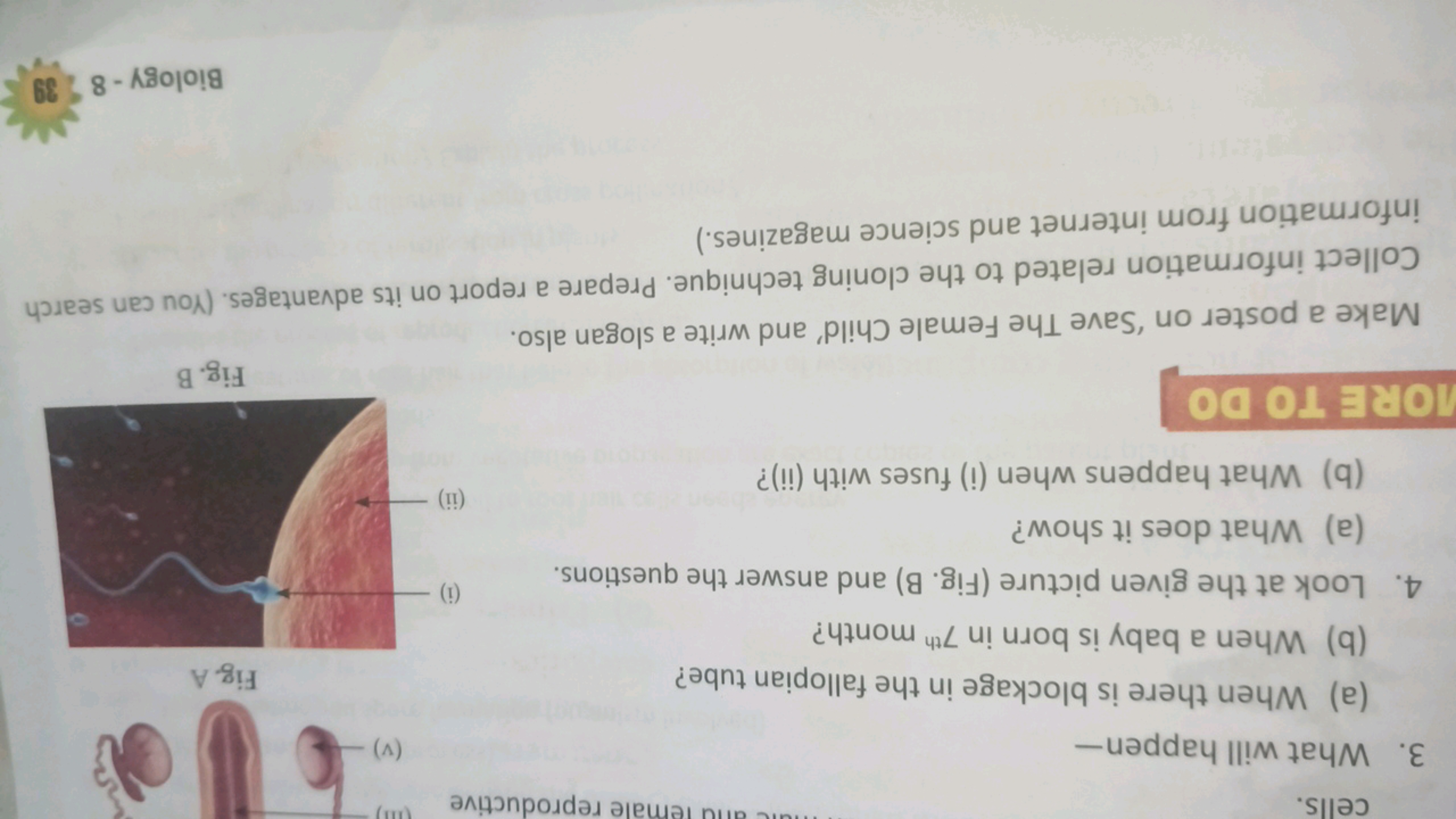 3. What will happen-
(a) When there is blockage in the fallopian tube?