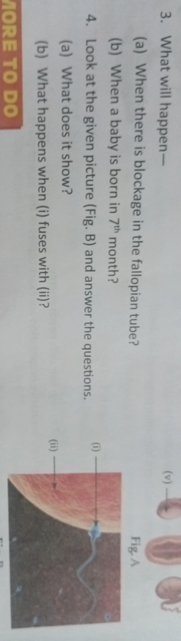 3. What will happen-
(a) When there is blockage in the fallopian tube?