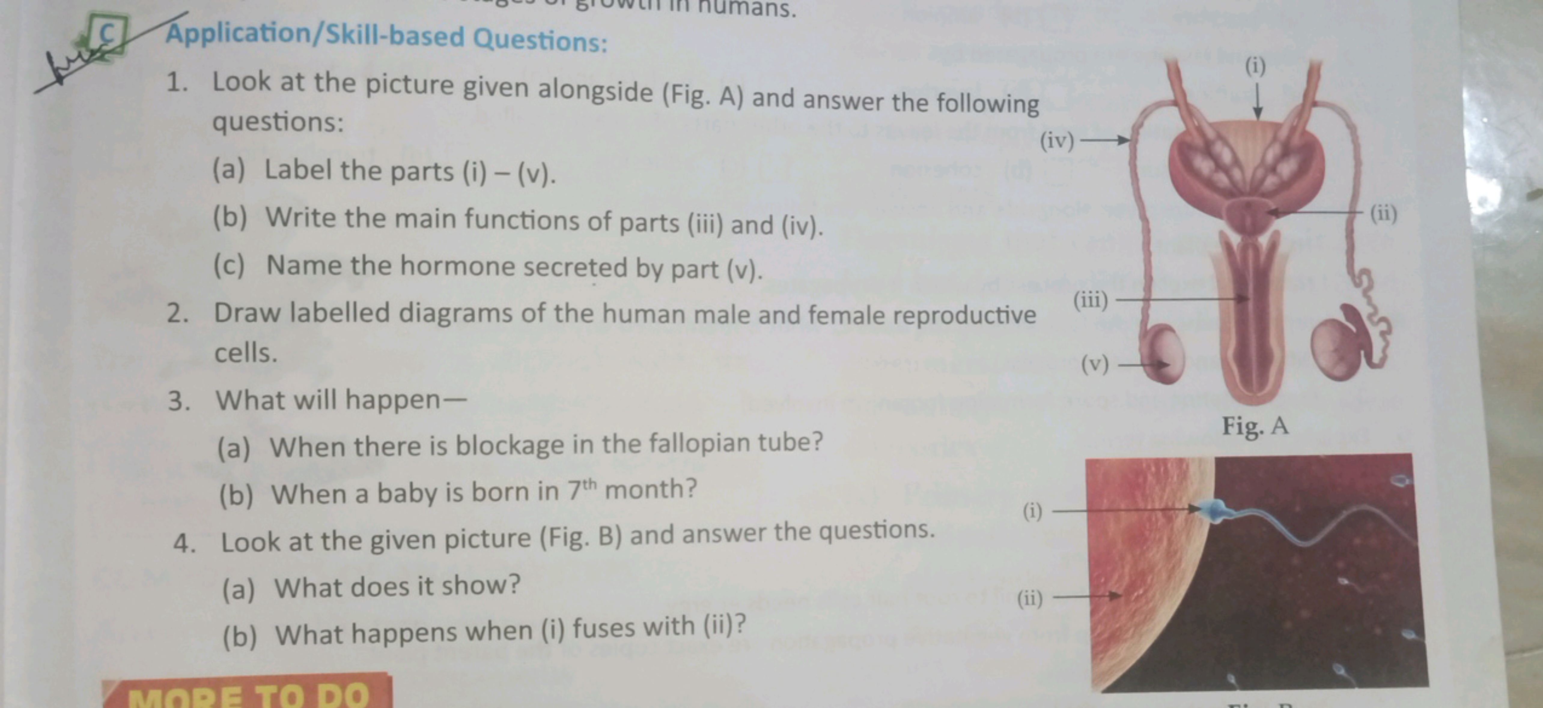 C. Application/Skill-based Questions:
1. Look at the picture given alo