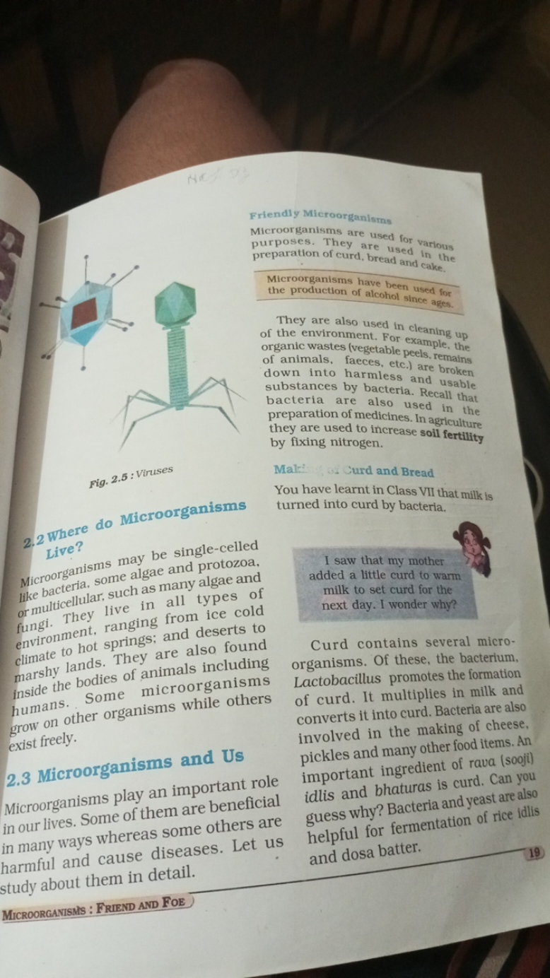 2.2 Where do Microorganisms Live?
Microorganisms may be single-celled 