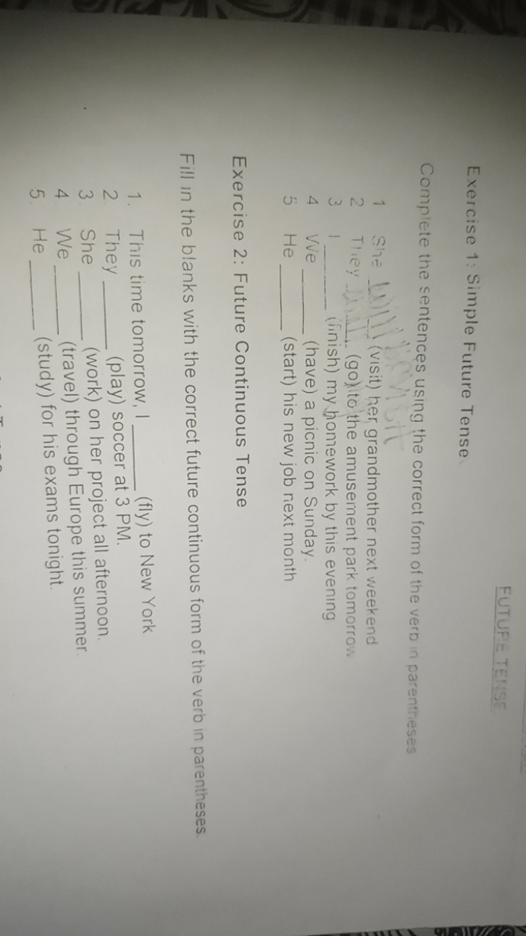 FUTURE TENSE
Exercise 1: Simple Future Tense
Complete the sentences us