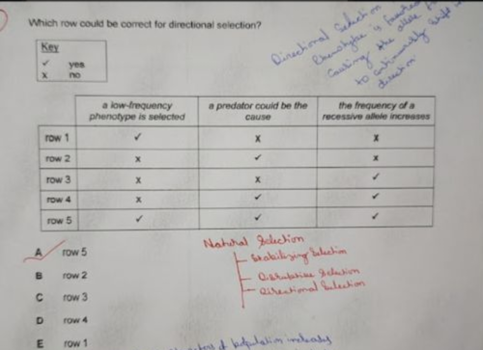 Which row could be correct for directional selection?
\begin{tabular} 