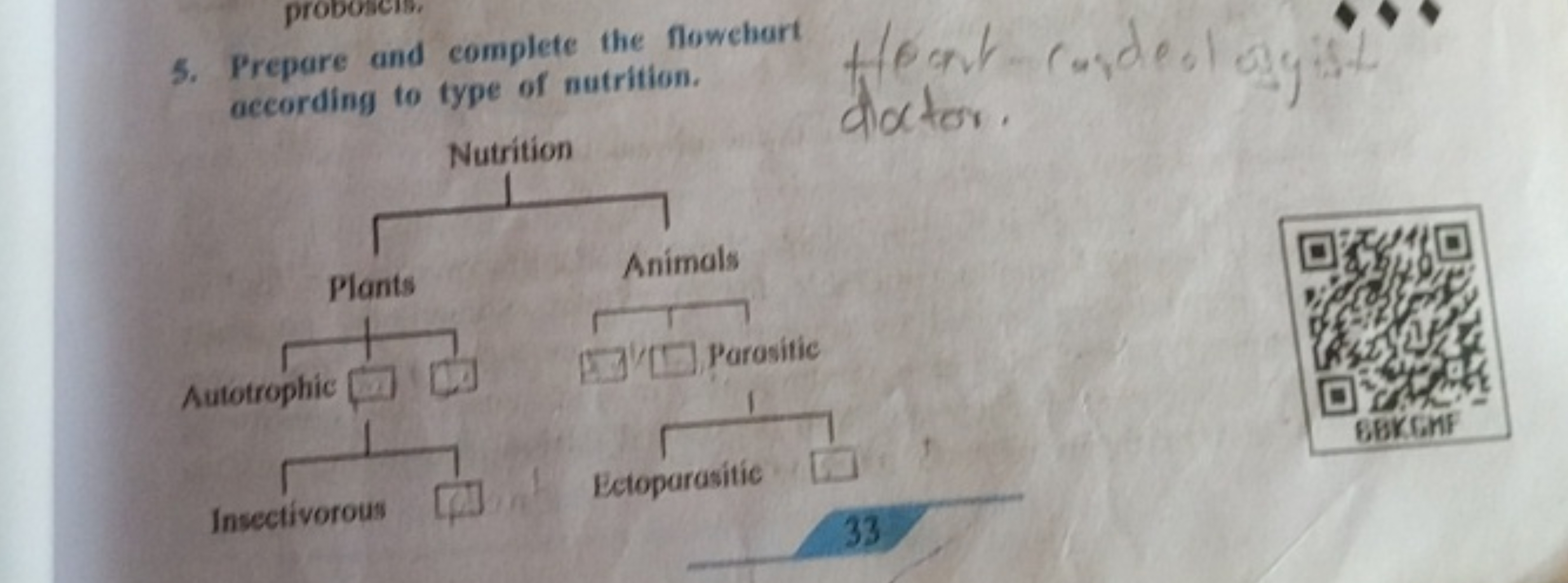 5. Prepare and complete the flowehart according to type of nutrition.