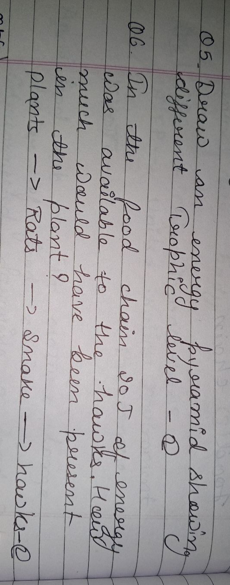 Q5. Draw an energy pyramid showing different Trophic level - (2)
Q6. I