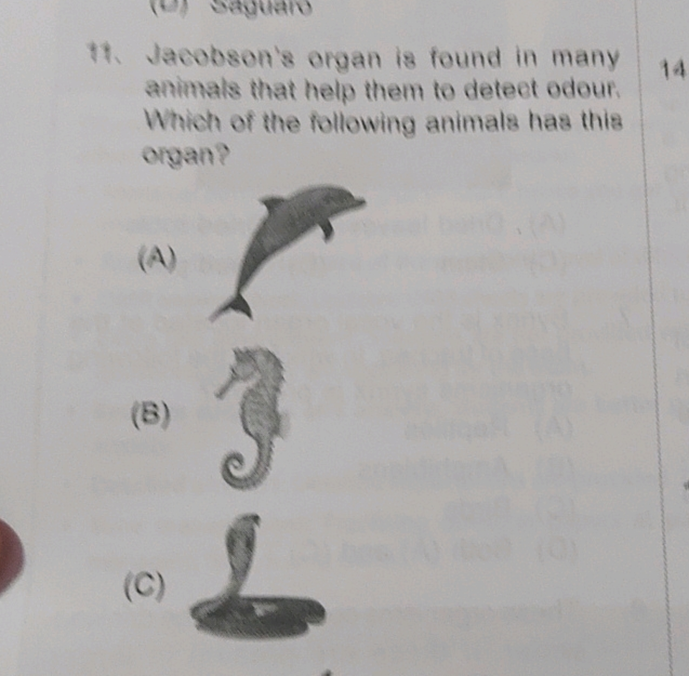 11. Jacobson's organ is found in many animals that help them to detect