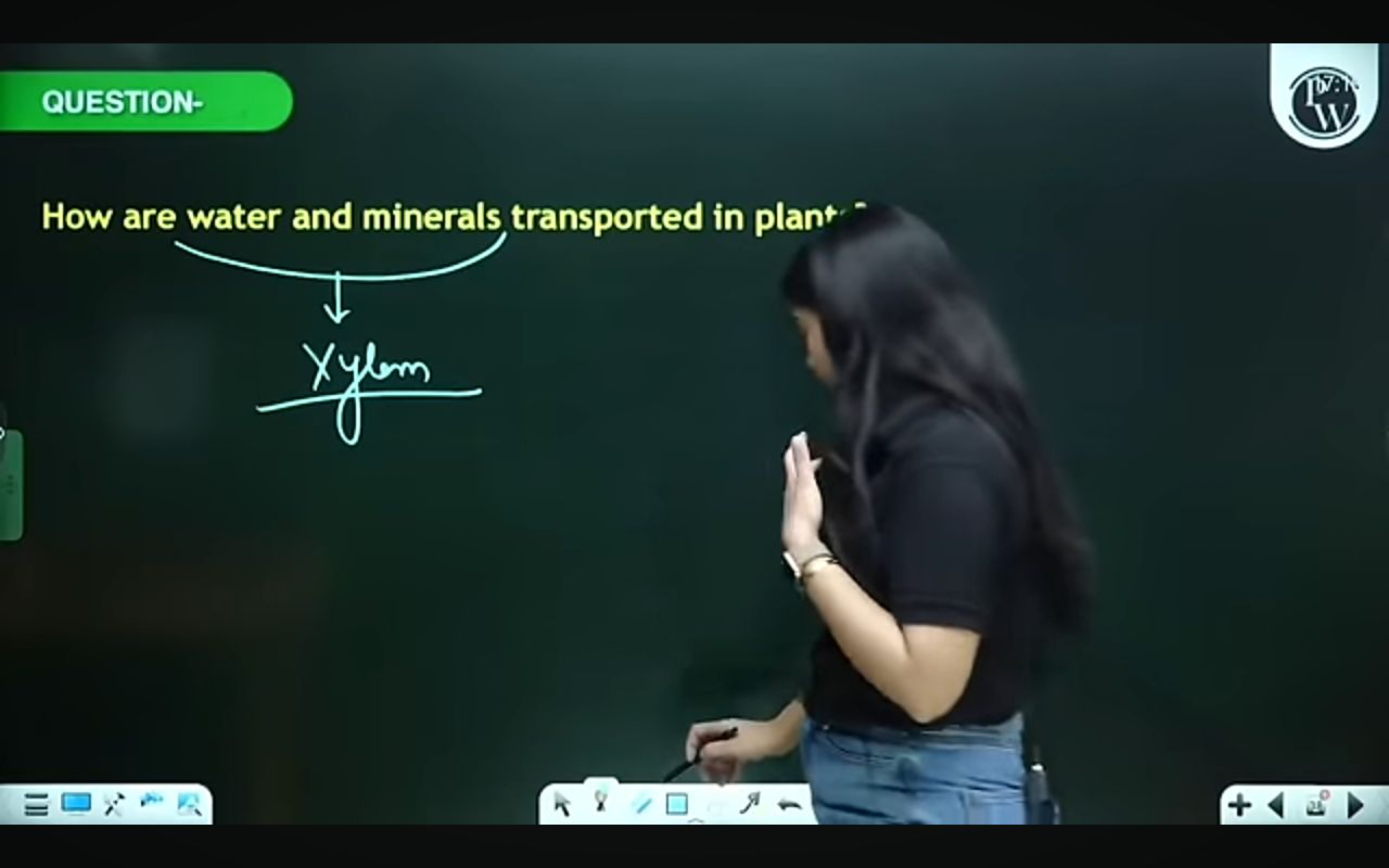 QUESTION-
IV)

How are water and minerals transported in plant--