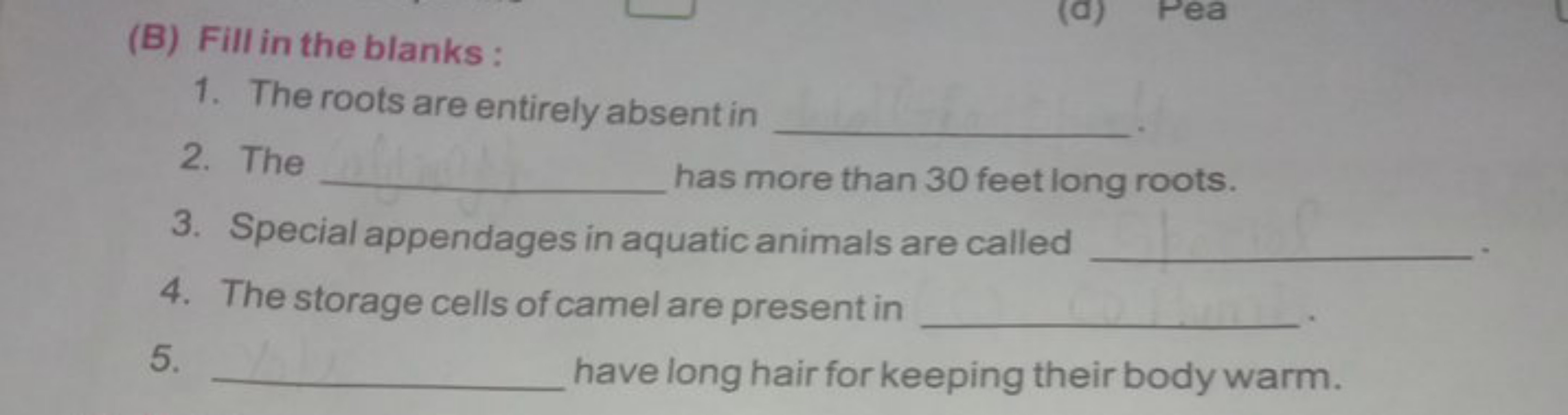 (B) Fill in the blanks :
1. The roots are entirely absent in 
2. The  