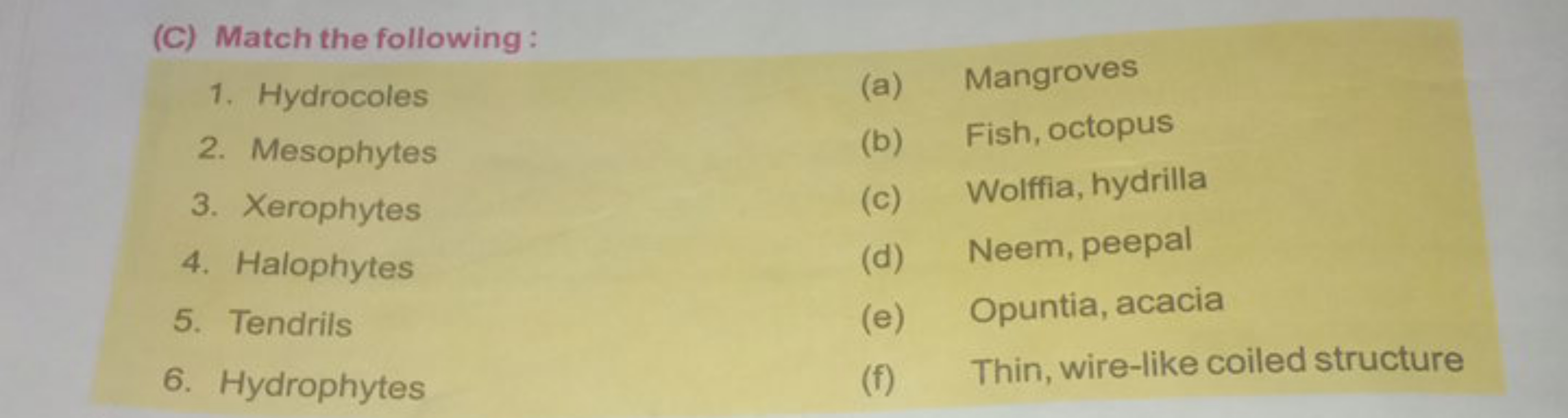 (C) Match the following :
1. Hydrocoles
(a) Mangroves
2. Mesophytes
(b