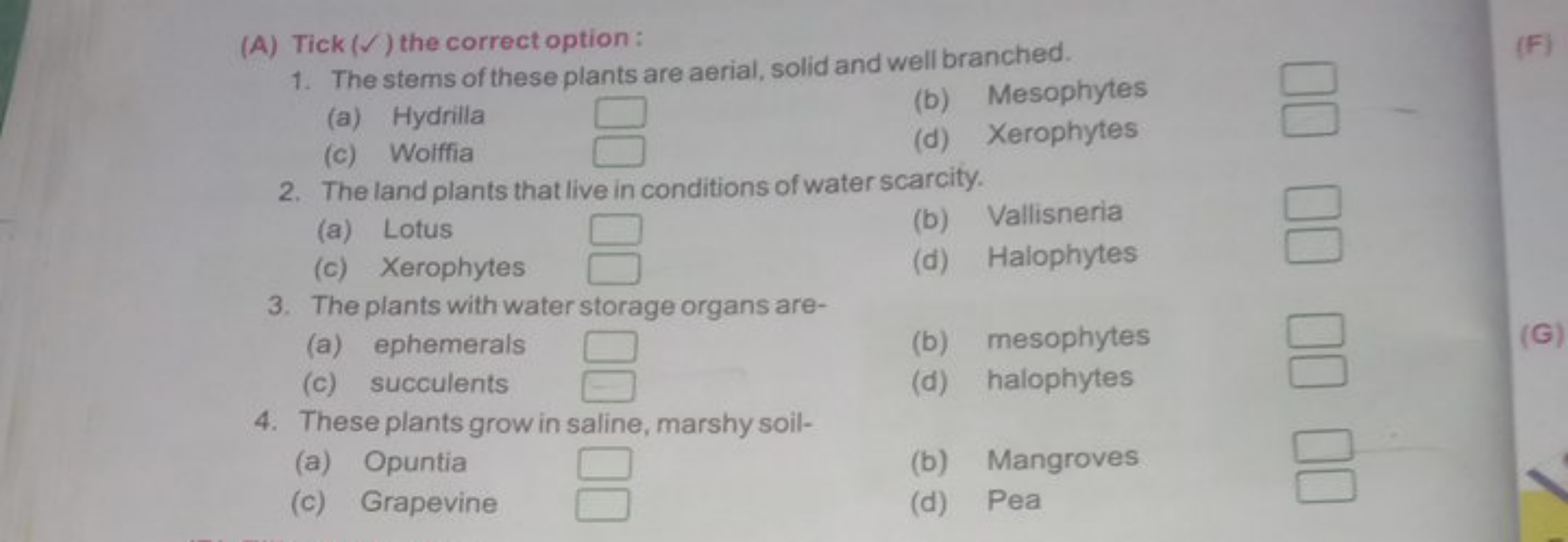 (A) Tick ( (✓) the correct option:
1. The stems of these plants are ae