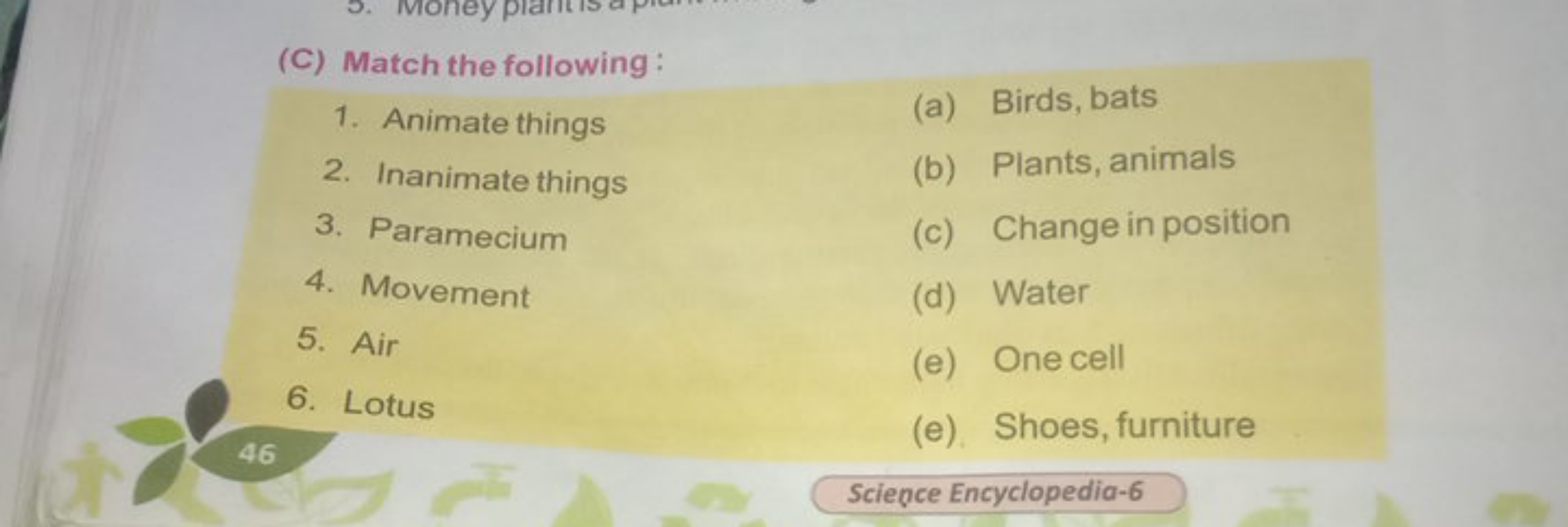 (C) Match the following:
1. Animate things
(a) Birds, bats
2. Inanimat