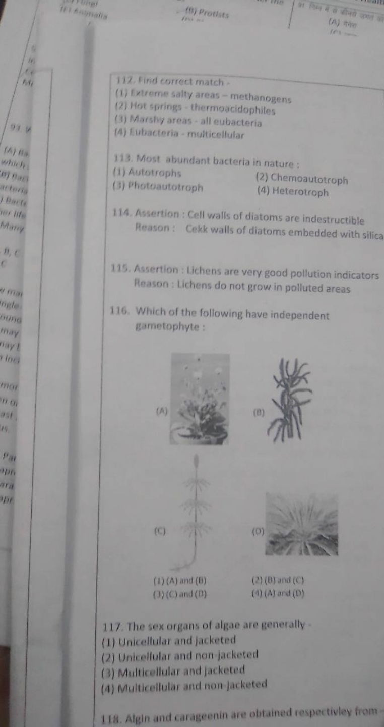 112. Find correct match -
(1) Extreme salty areas - methanogens
(2) Ho