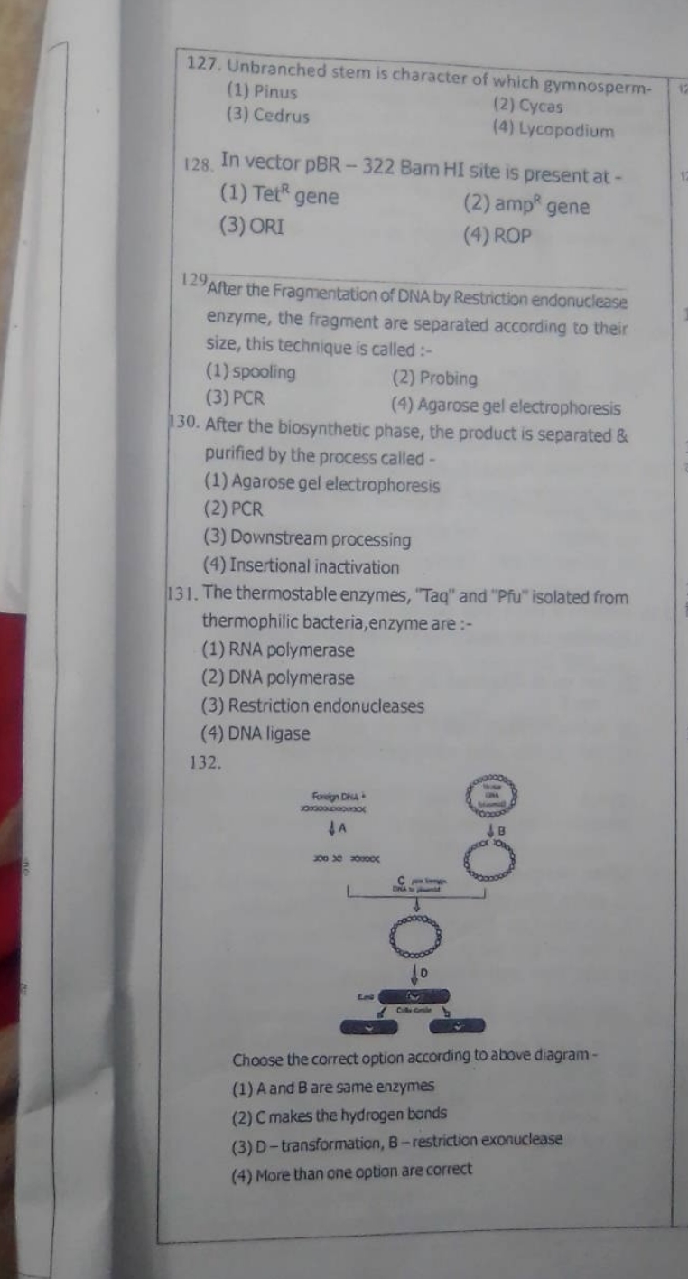 127. Unbranched stem is character of which gymnosperm-
(1) Pinus
18
(3