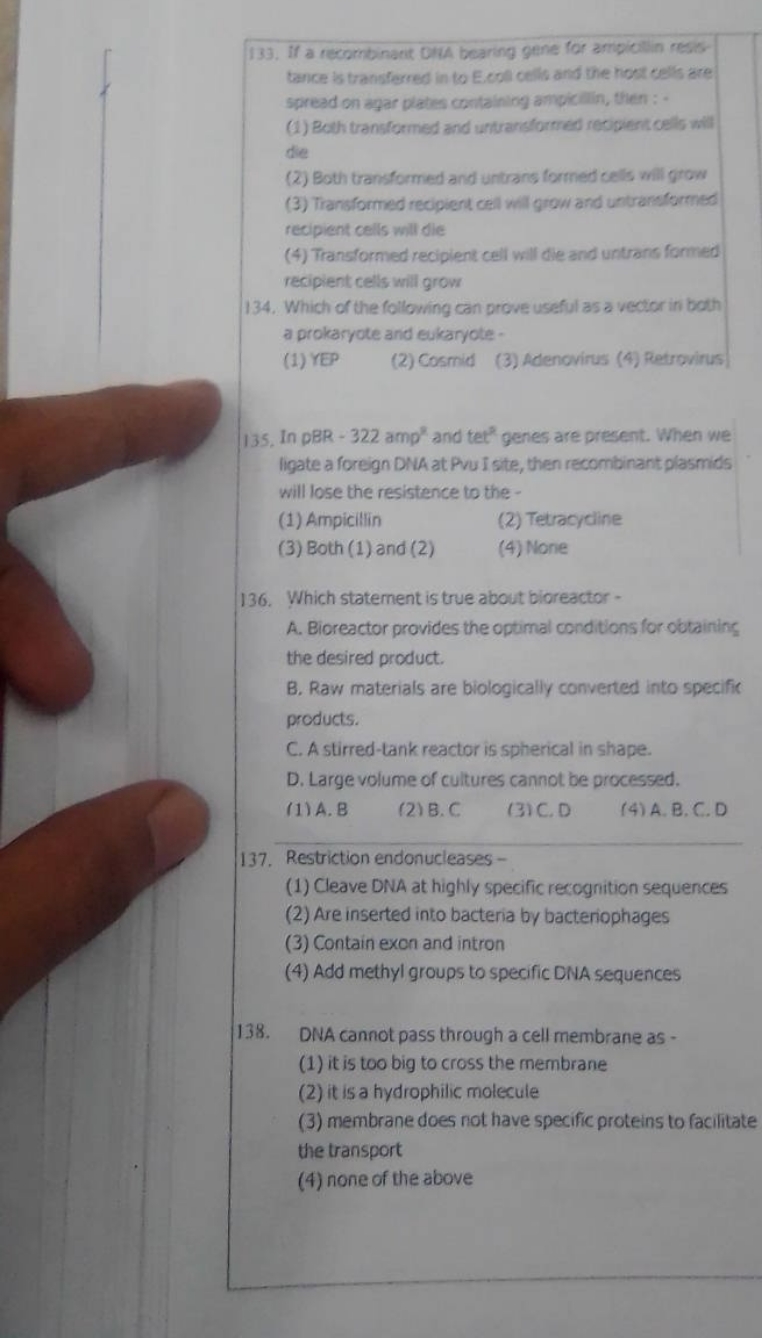 133. If a recombinatit OllA bearing gene for ampicilin resistance is t