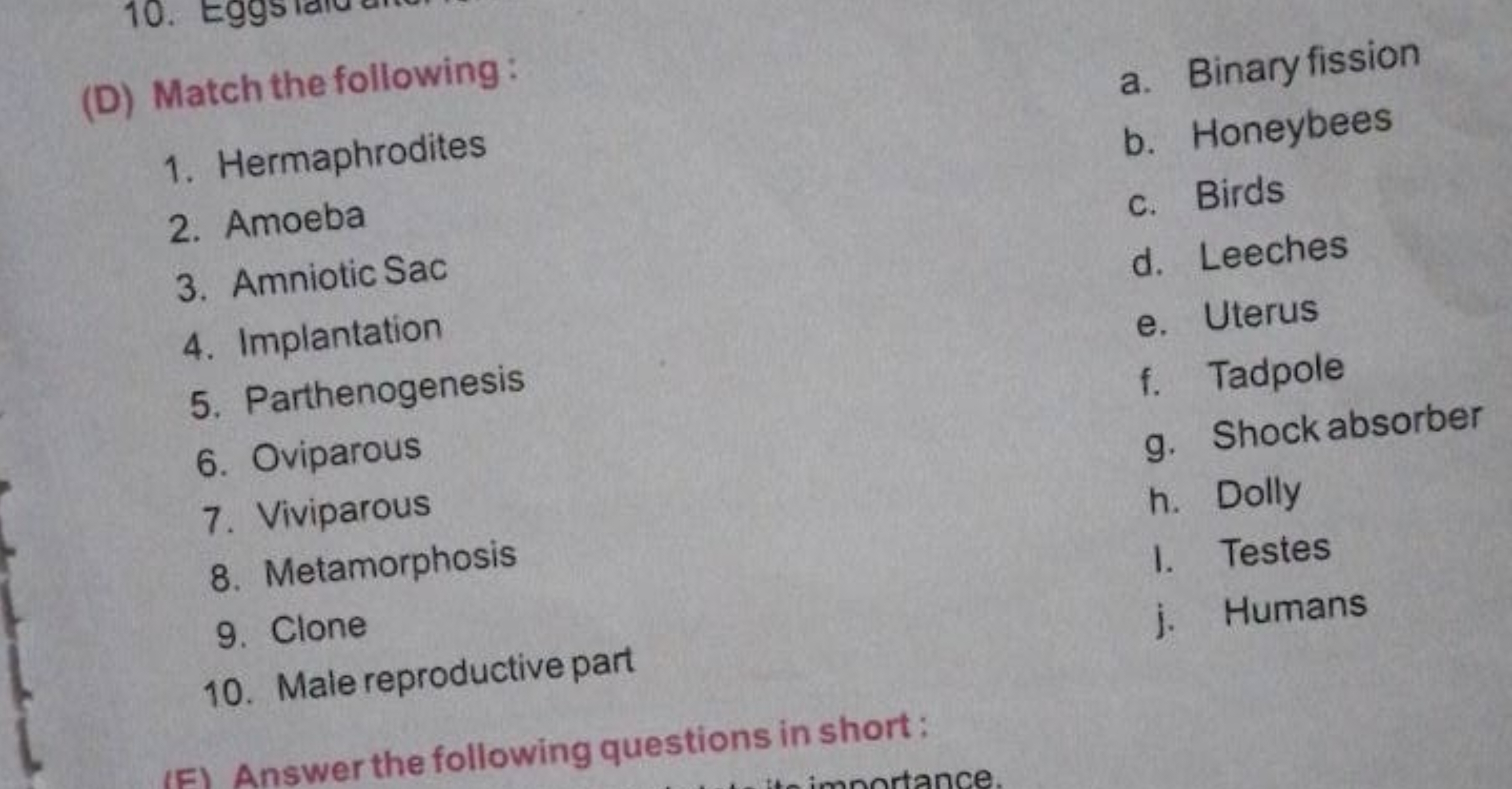 (D) Match the following:
a. Binary fission
1. Hermaphrodites
b. Honeyb