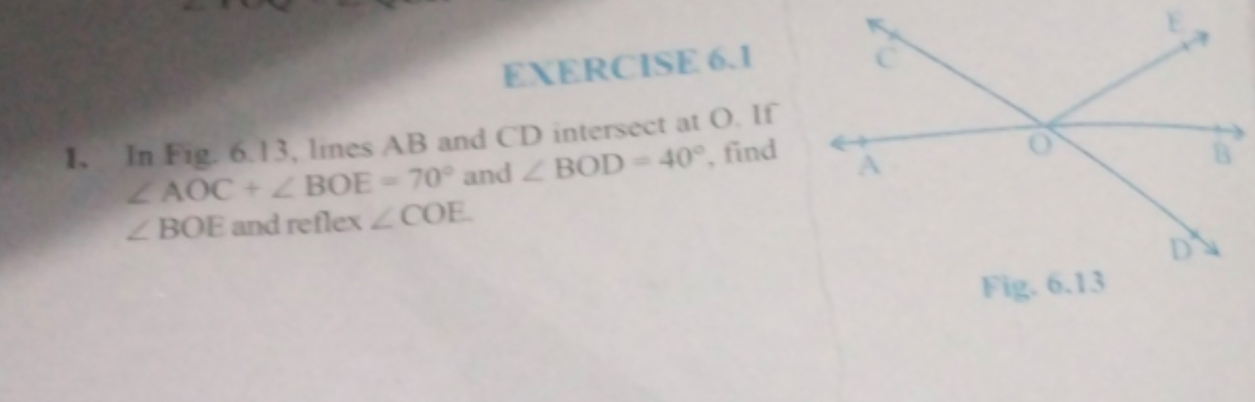 ENERCISE 6.1
1. In Fig. 6.13, lines AB and CD intersect at O. If ∠AOC+