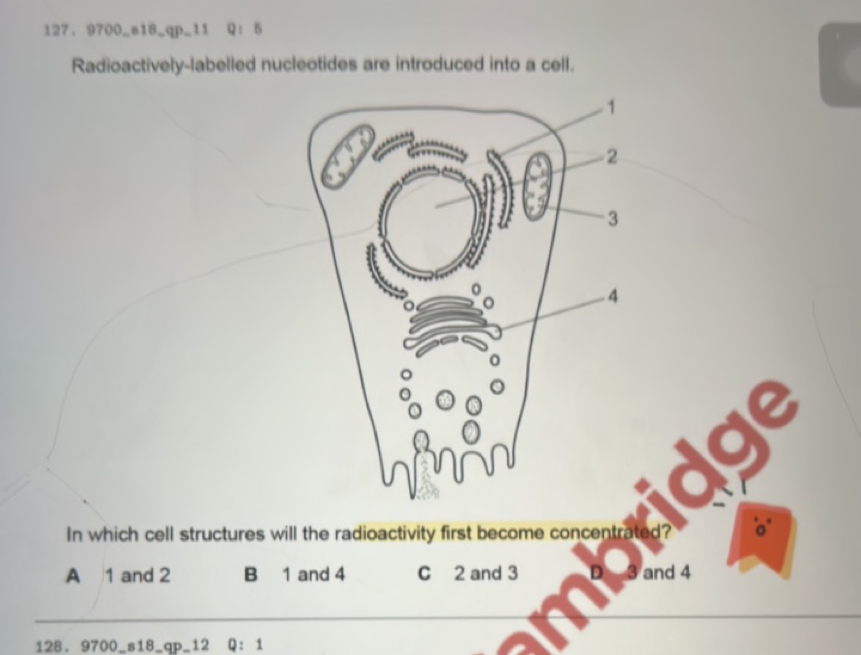 127. 9700_818_qp_11 Q1 5

Radioactively-labelled nucleotides are intro