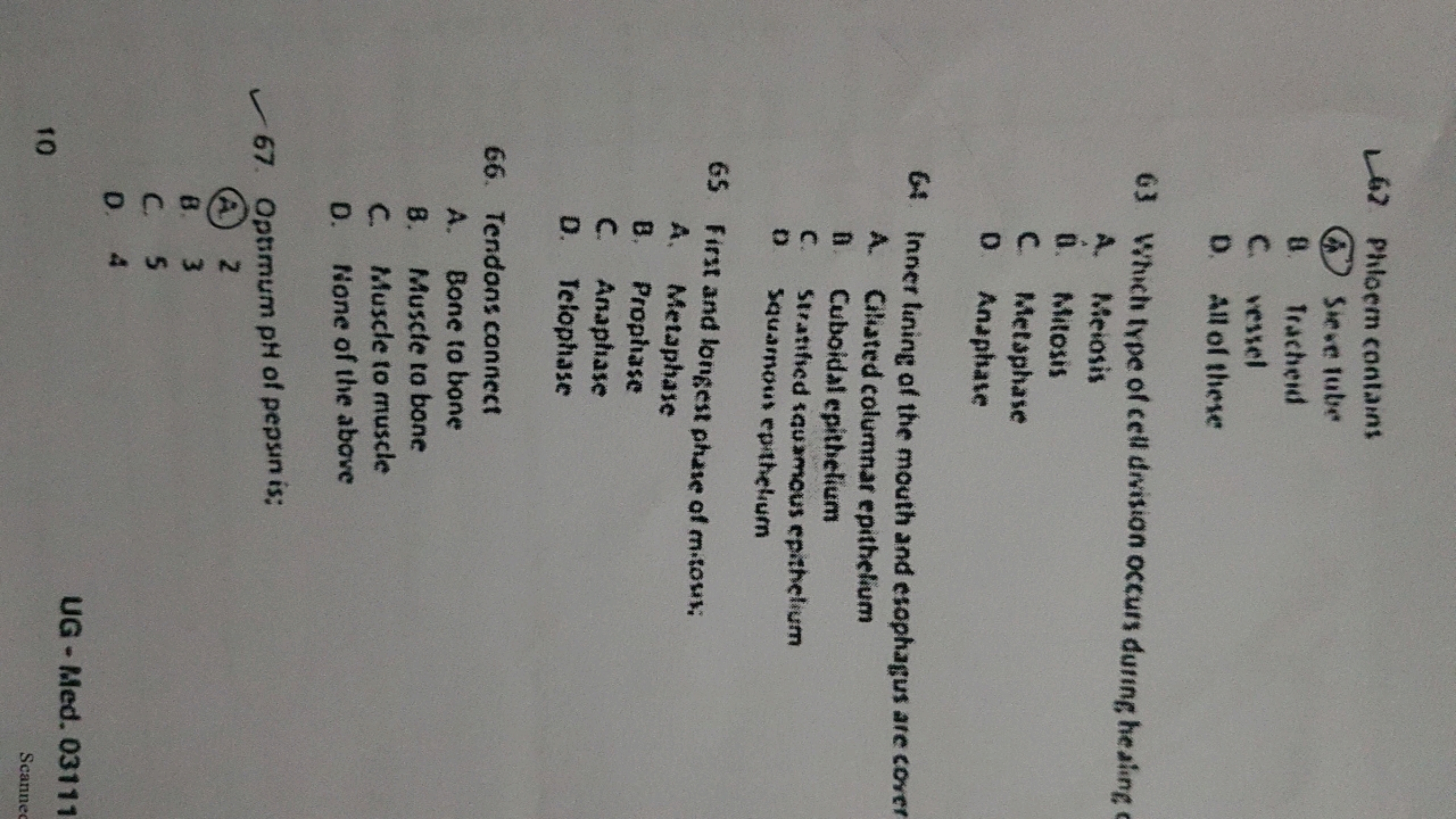 ✓ 62 Phloem contains
Sieve Tube
8.
Tracheid
C.
vessel
D. All of these
