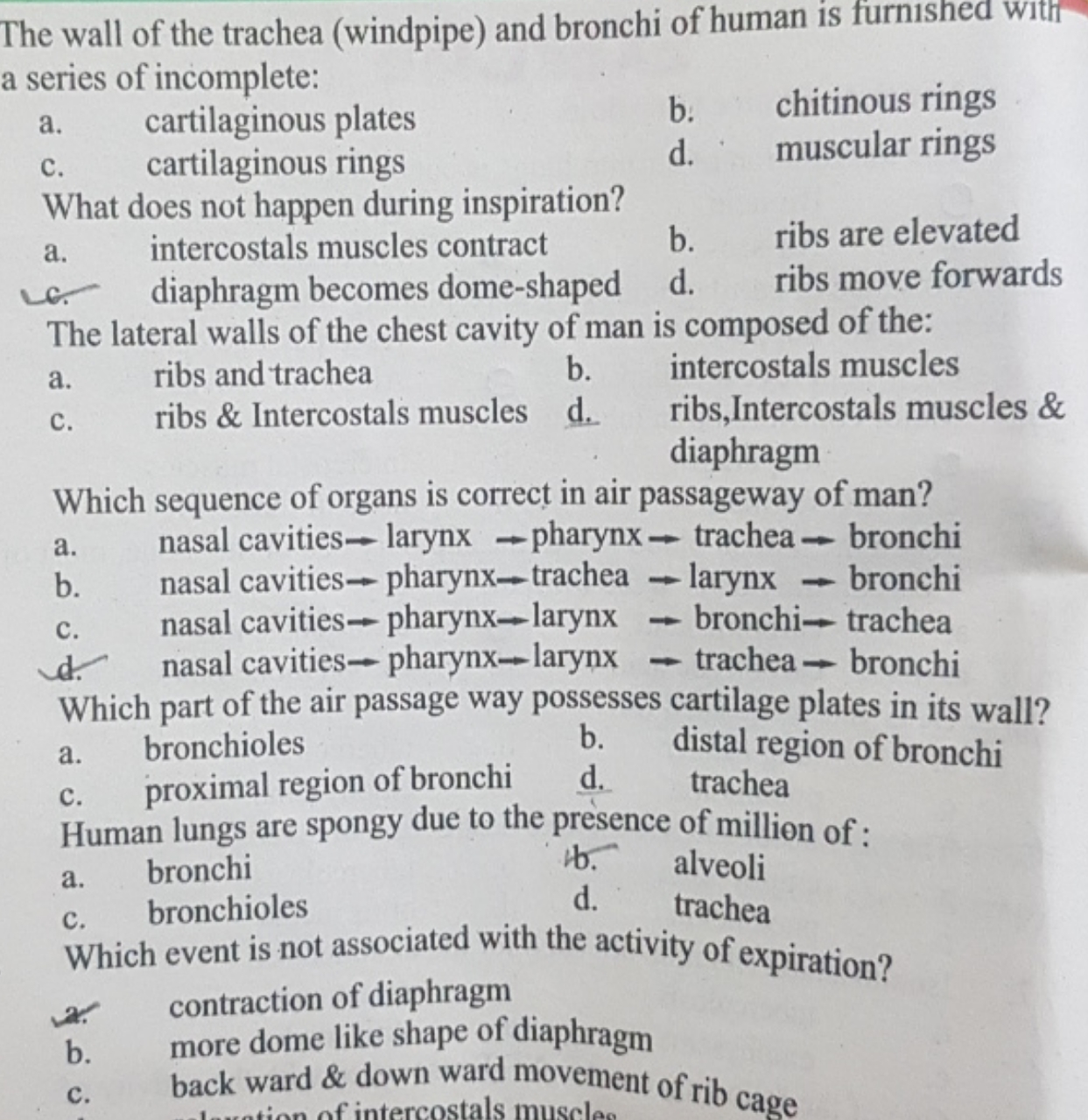 The wall of the trachea (windpipe) and bronchi of human is furnished w