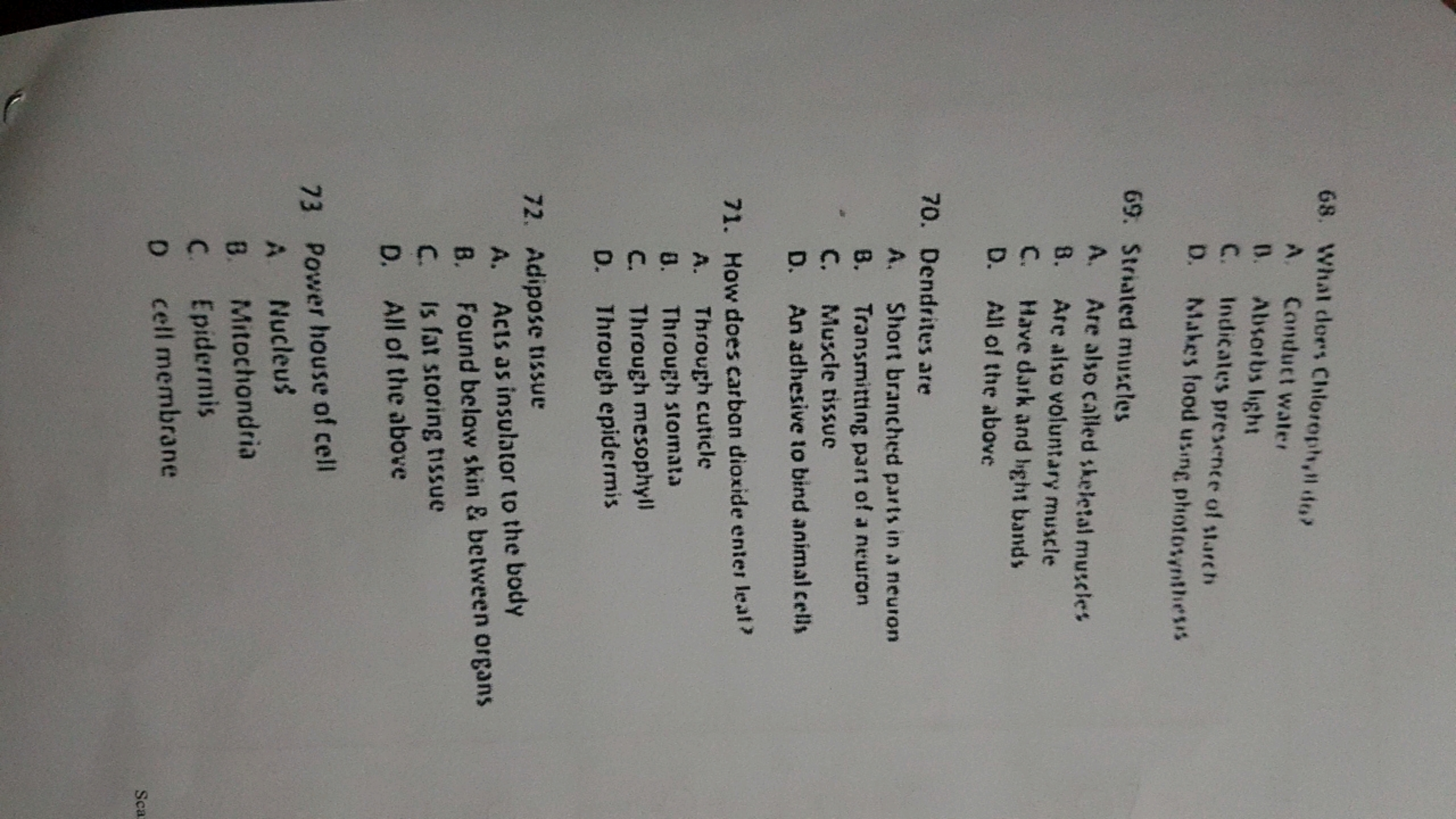 68. What does Chiloreph, ildes
A. Conduet water
B. Alsertos light
C. I