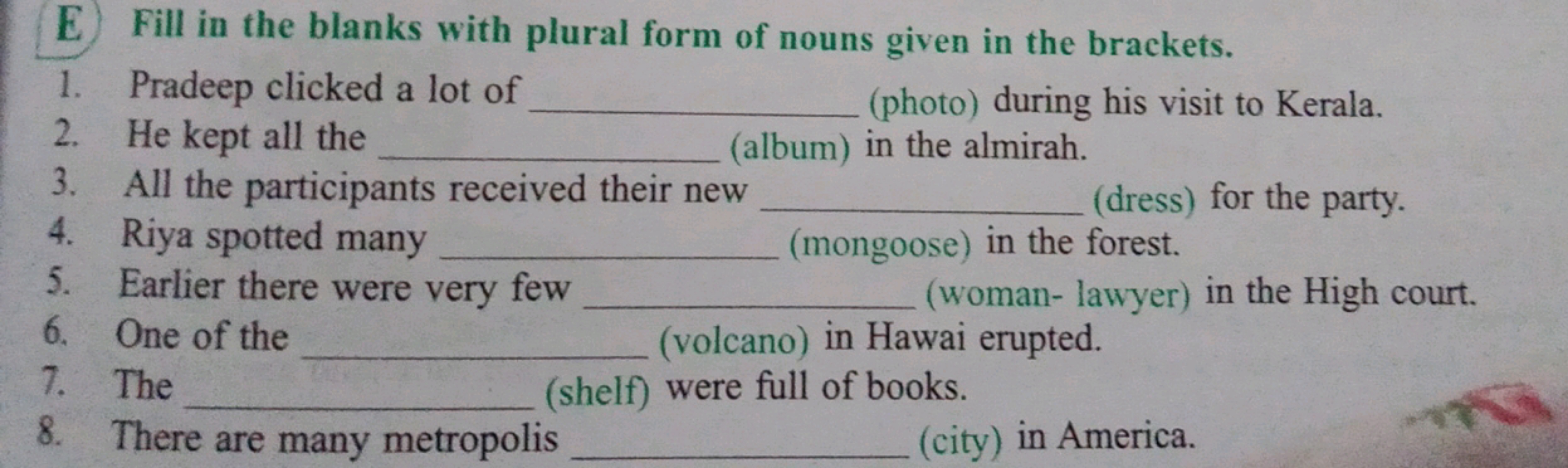 E Fill in the blanks with plural form of nouns given in the brackets.
