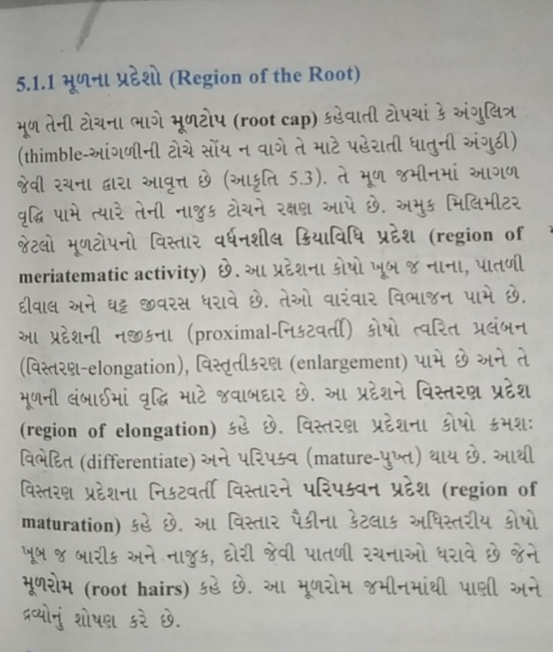 5.1.1 મૂળના પ્રદેશો (Region of the Root)

મૂળ તેની ટોયના ભાગે મૂળટોપ (