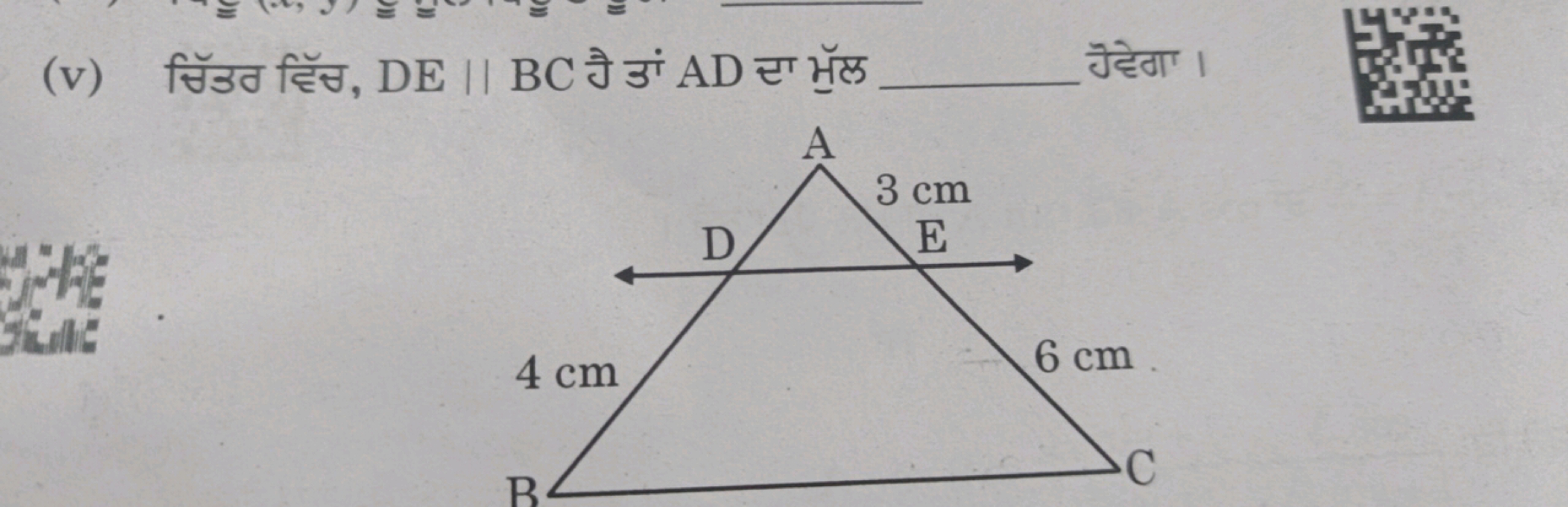 (v) सिॅत हैँ, DE∥BC नै ऊां AD टा भूल  Əैदेगा।