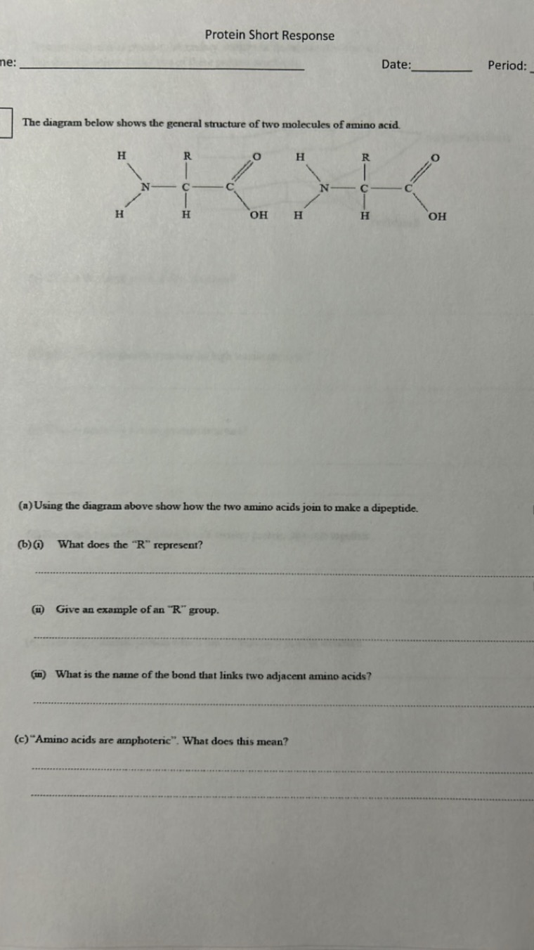 Protein Short Response
ne: 
Date: 
Period:

The diagram below shows th