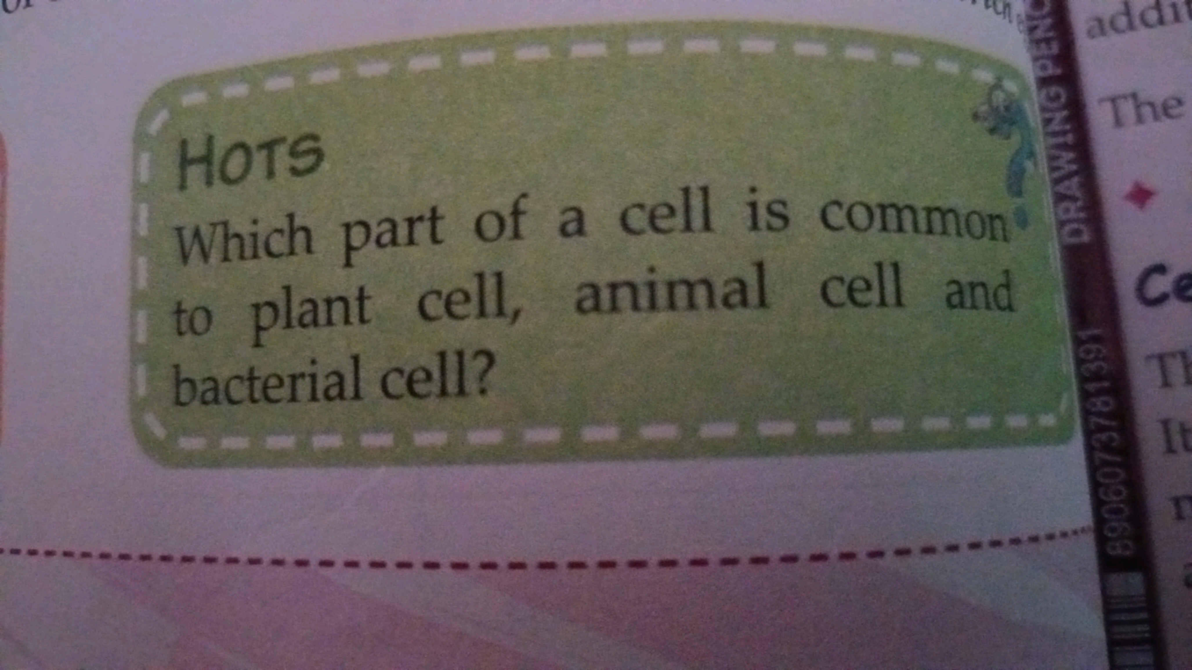 HOTS
Which part of a cell is common
to plant cell, animal cell and
bac