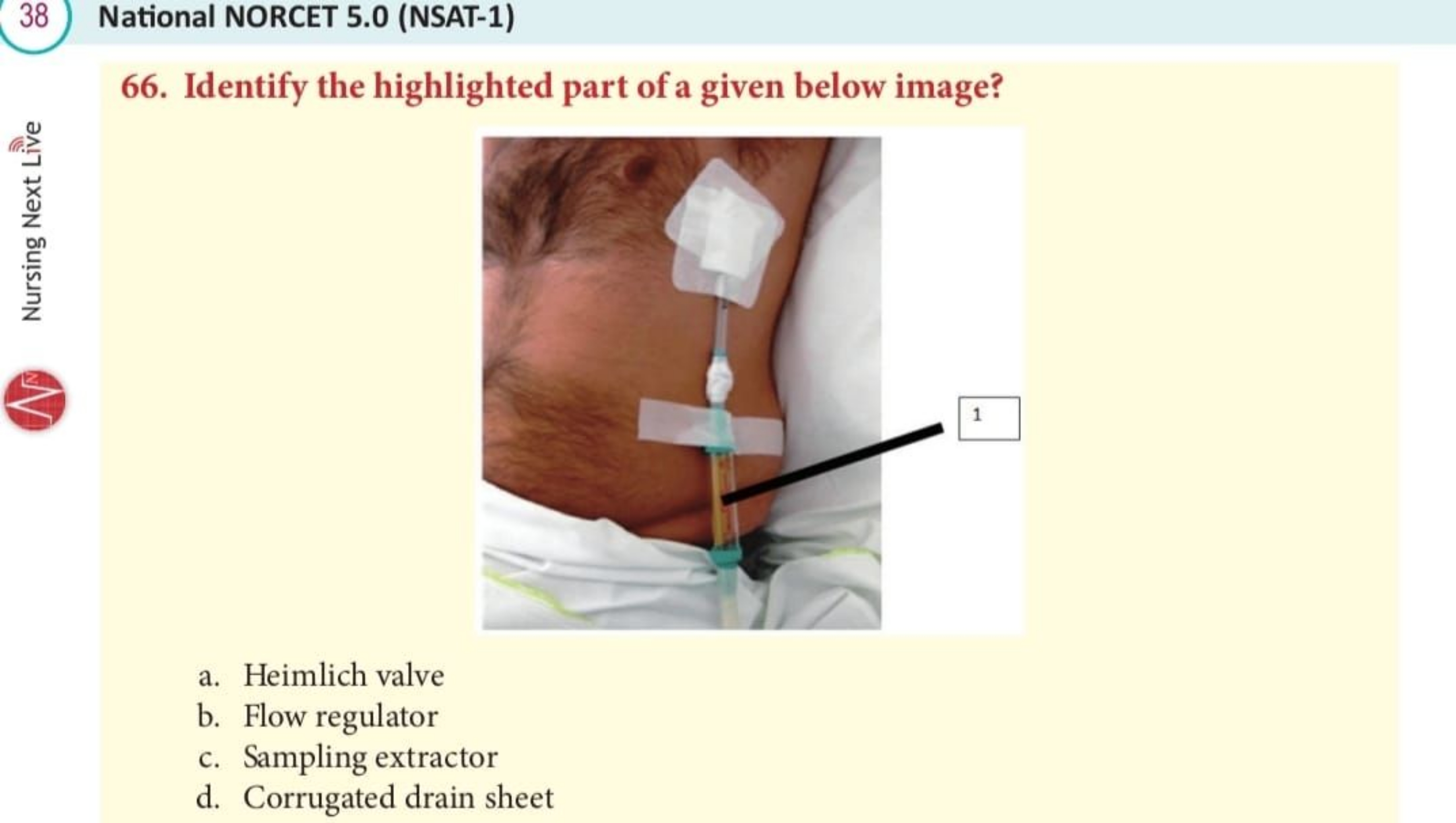 38 National NORCET 5.0 (NSAT-1)
66. Identify the highlighted part of a