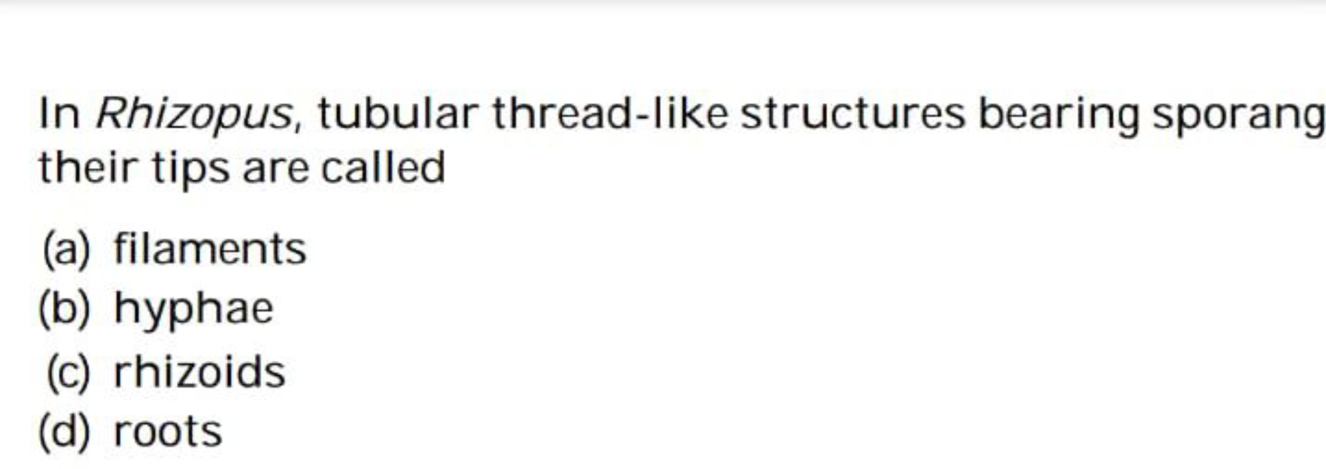 In Rhizopus, tubular thread-like structures bearing sporang their tips