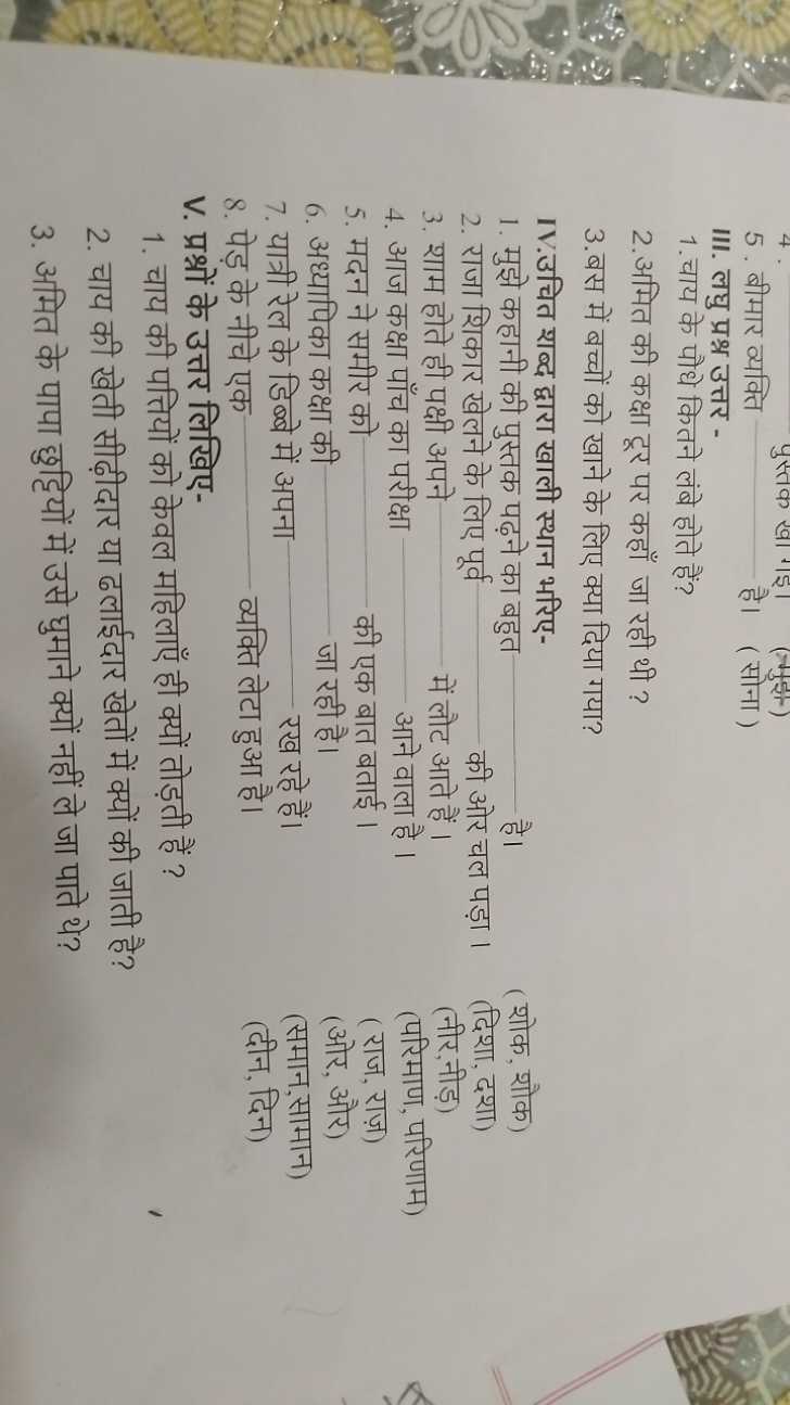 5. बीमार व्यक्ति
III. लघु प्रश्न उत्तर -
1. चाय के पौधे कितने लंबे होत