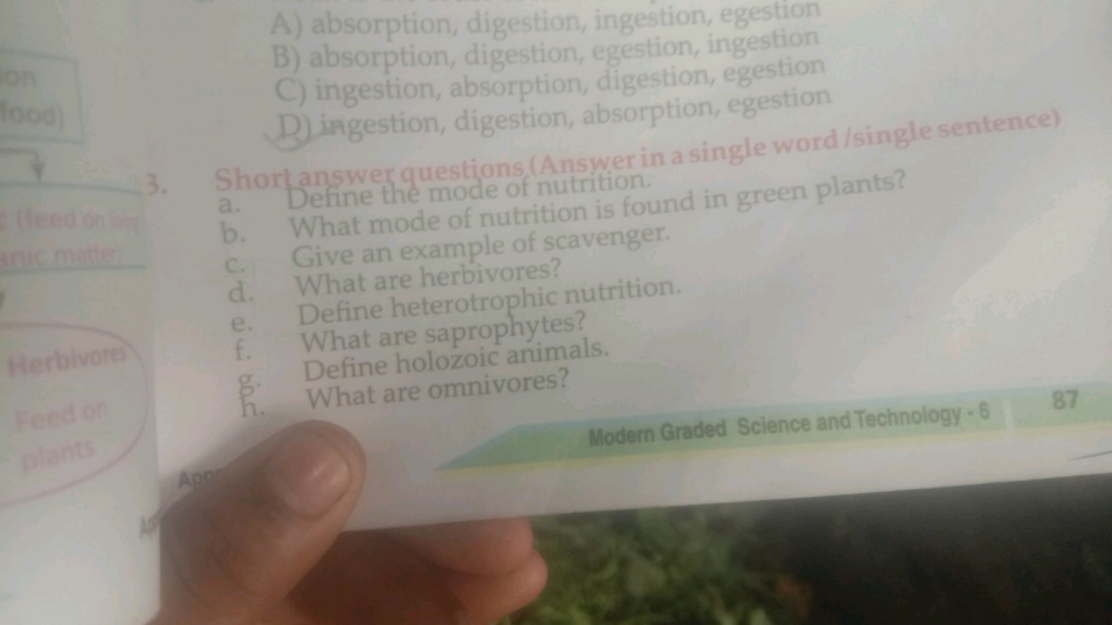 on
food)
A) absorption, digestion, ingestion, egestion
B) absorption, 