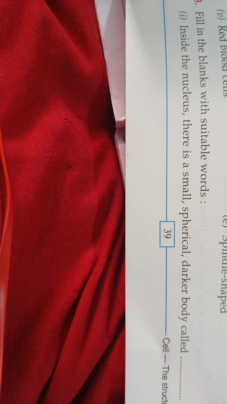 3. Fill in the blanks with suitable words :
(i) Inside the nucleus, th