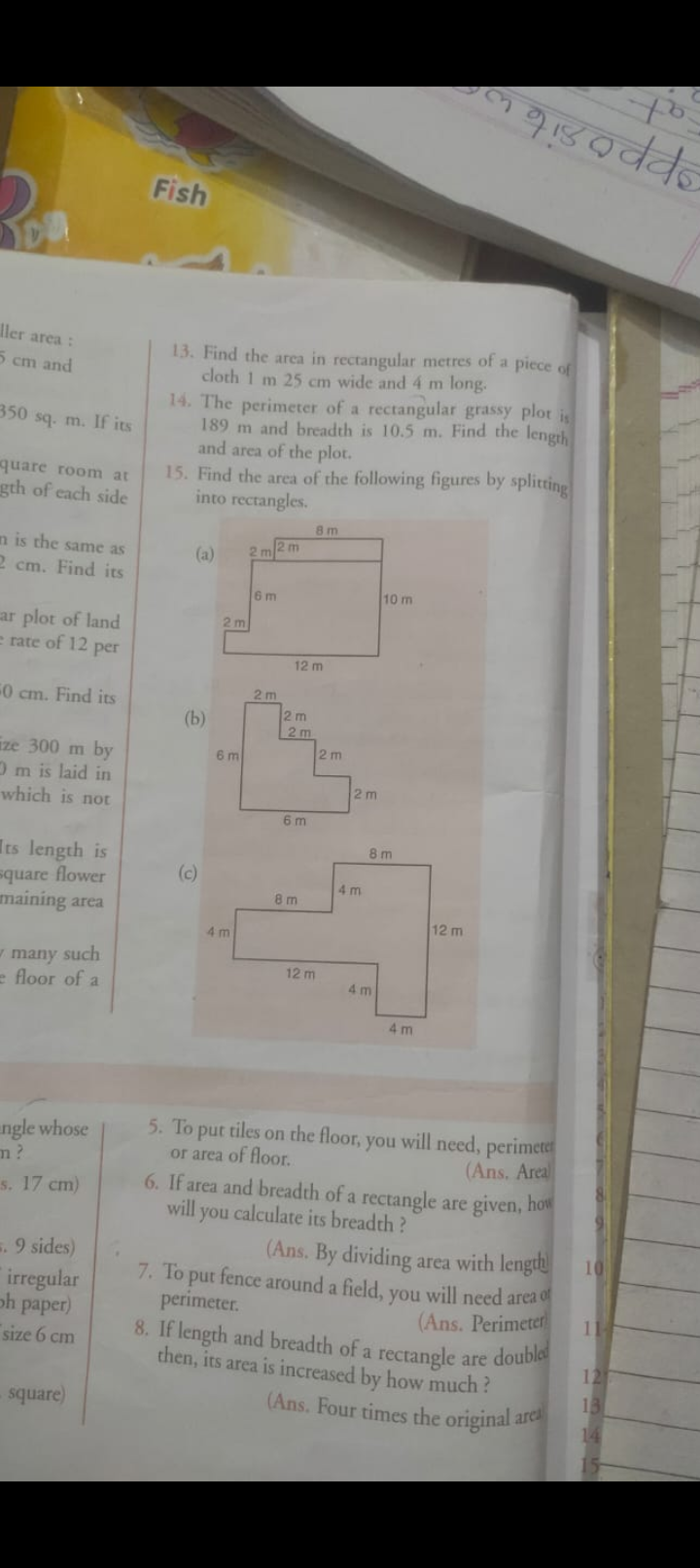 Fish
13. Find the area in rectangular metres of a piece of cloth 1 m 2