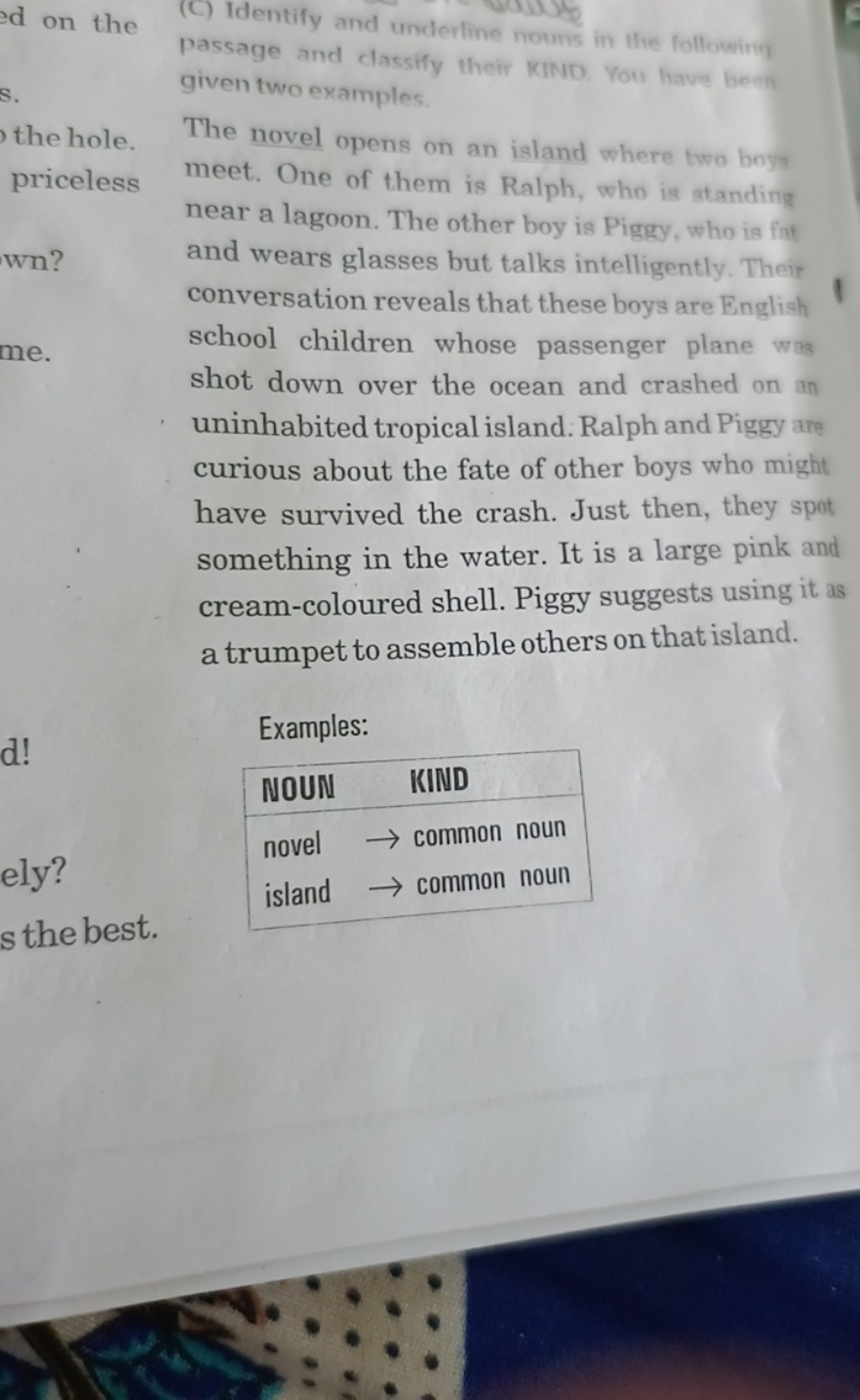 (C) Identify and underline nouns in the following passage and classify